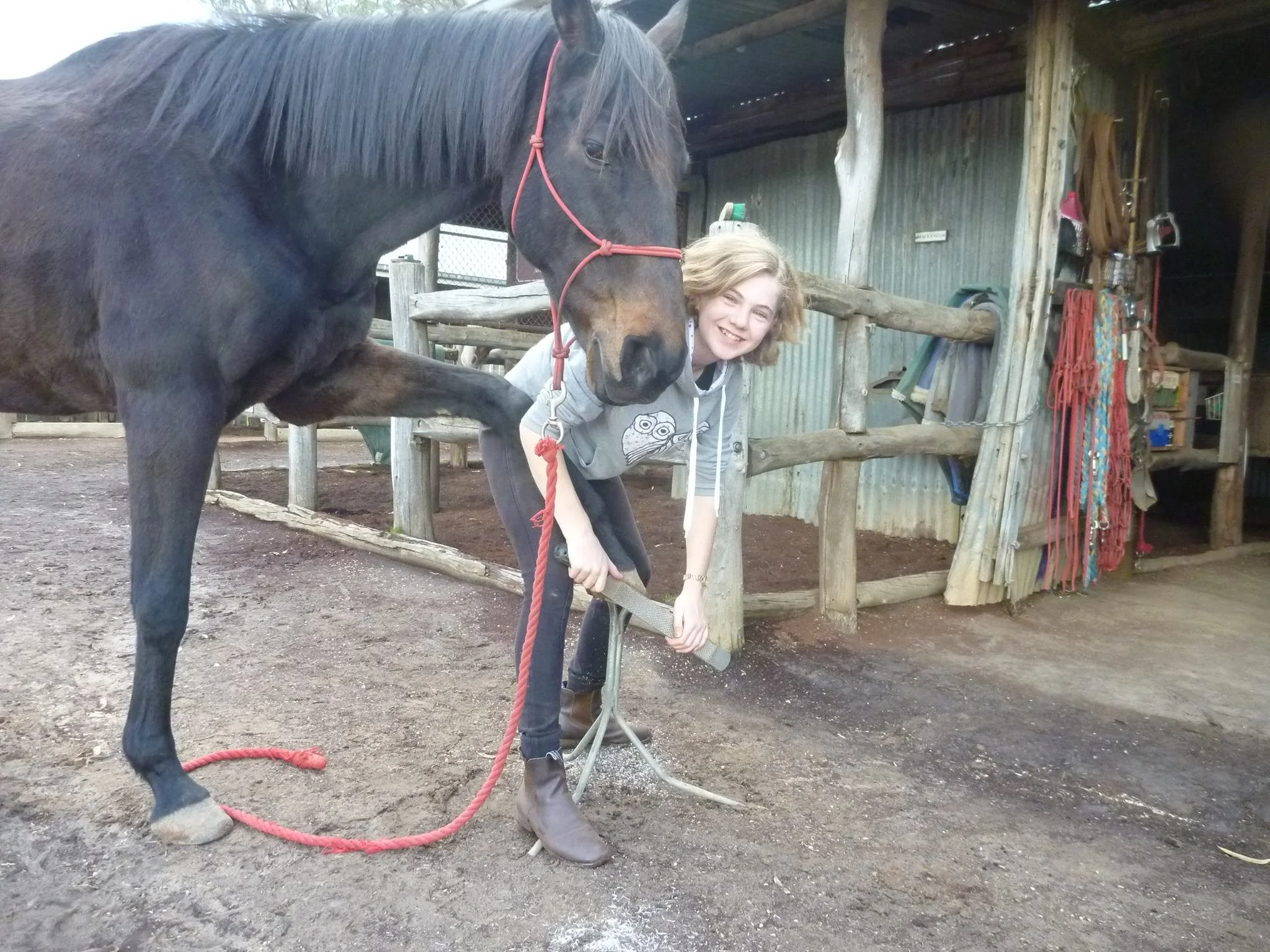 A girl smiling and holding a pick axe, standing next to a large black horse with a red halter, inside a rustic barn or stable.