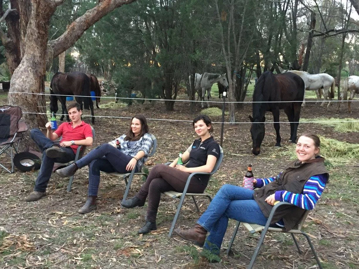 Four people sitting outdoors on chairs near a fence with grazing horses and trees in the background.