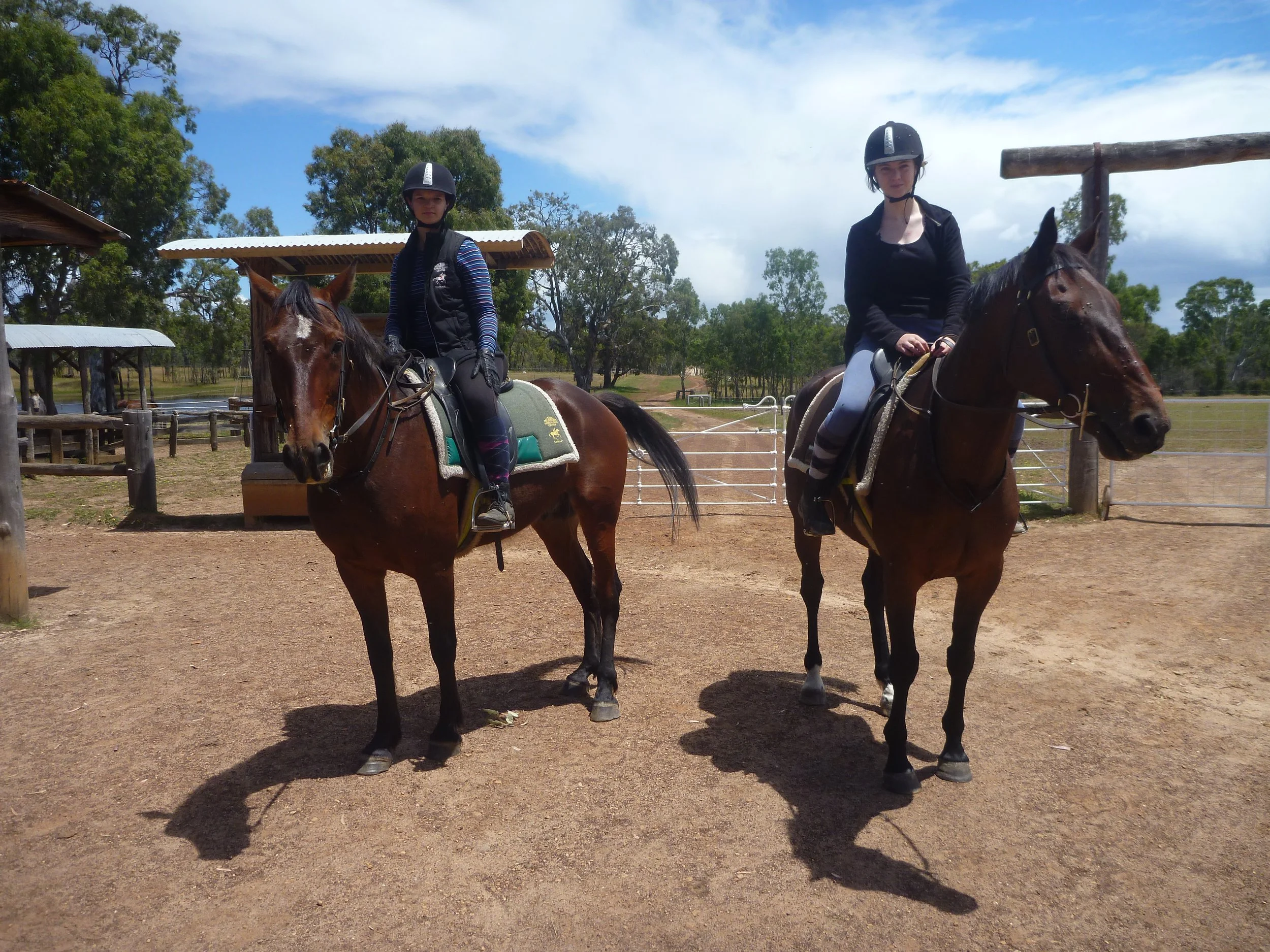 Two women riding brown horses on a farm, both wearing helmets, with trees and a blue sky in the background.