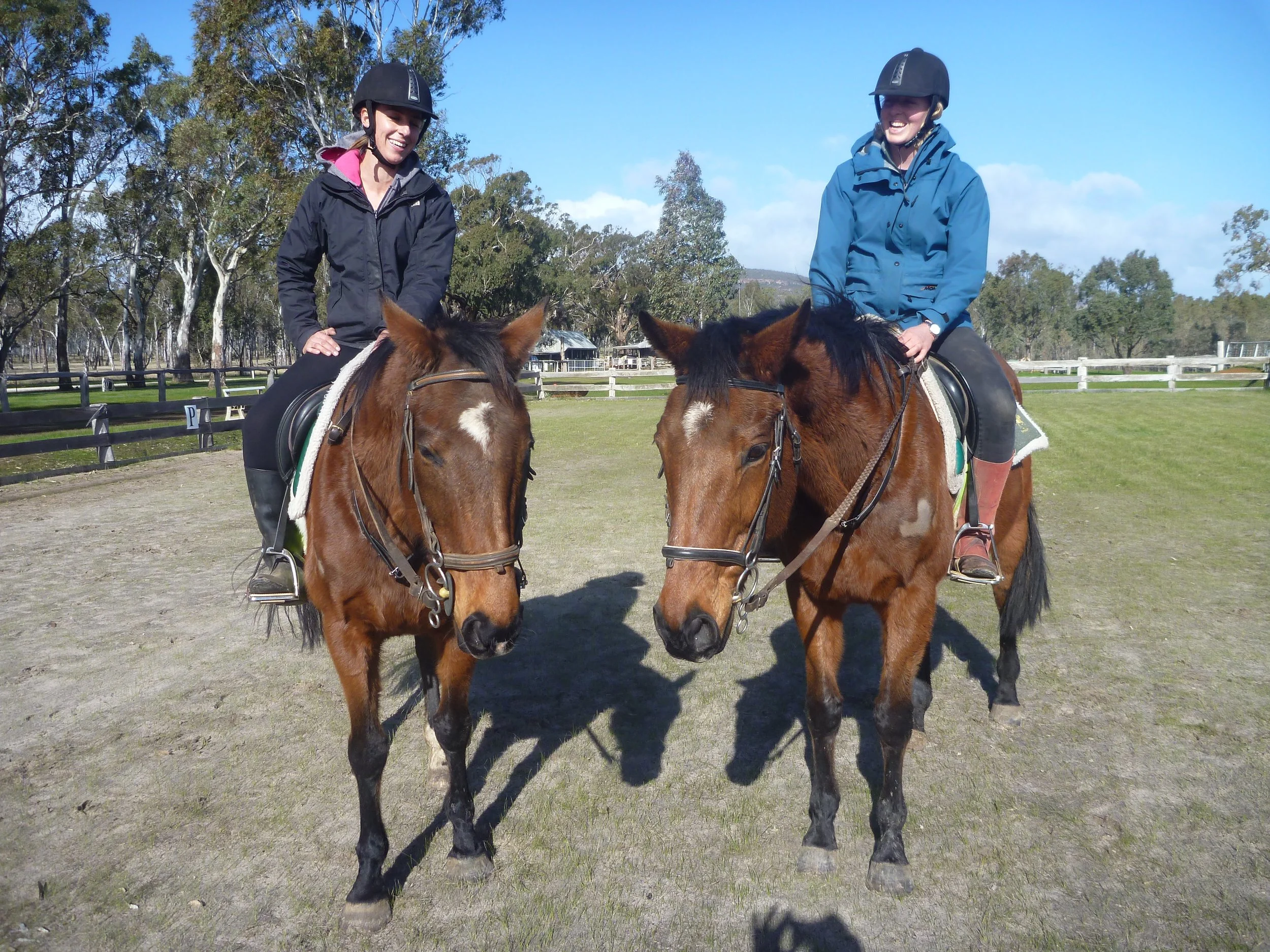 Two women riding horses on a grassy field, wearing helmets and jackets, with trees and a blue sky in the background.