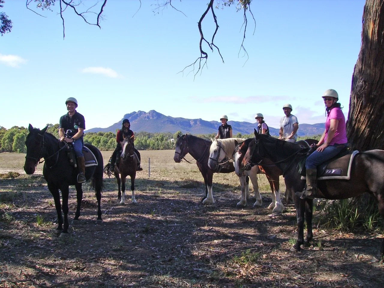 Group of six people riding horses outdoors on a trail with mountains in the background. Some riders are standing while others are seated on their horses under a large tree.