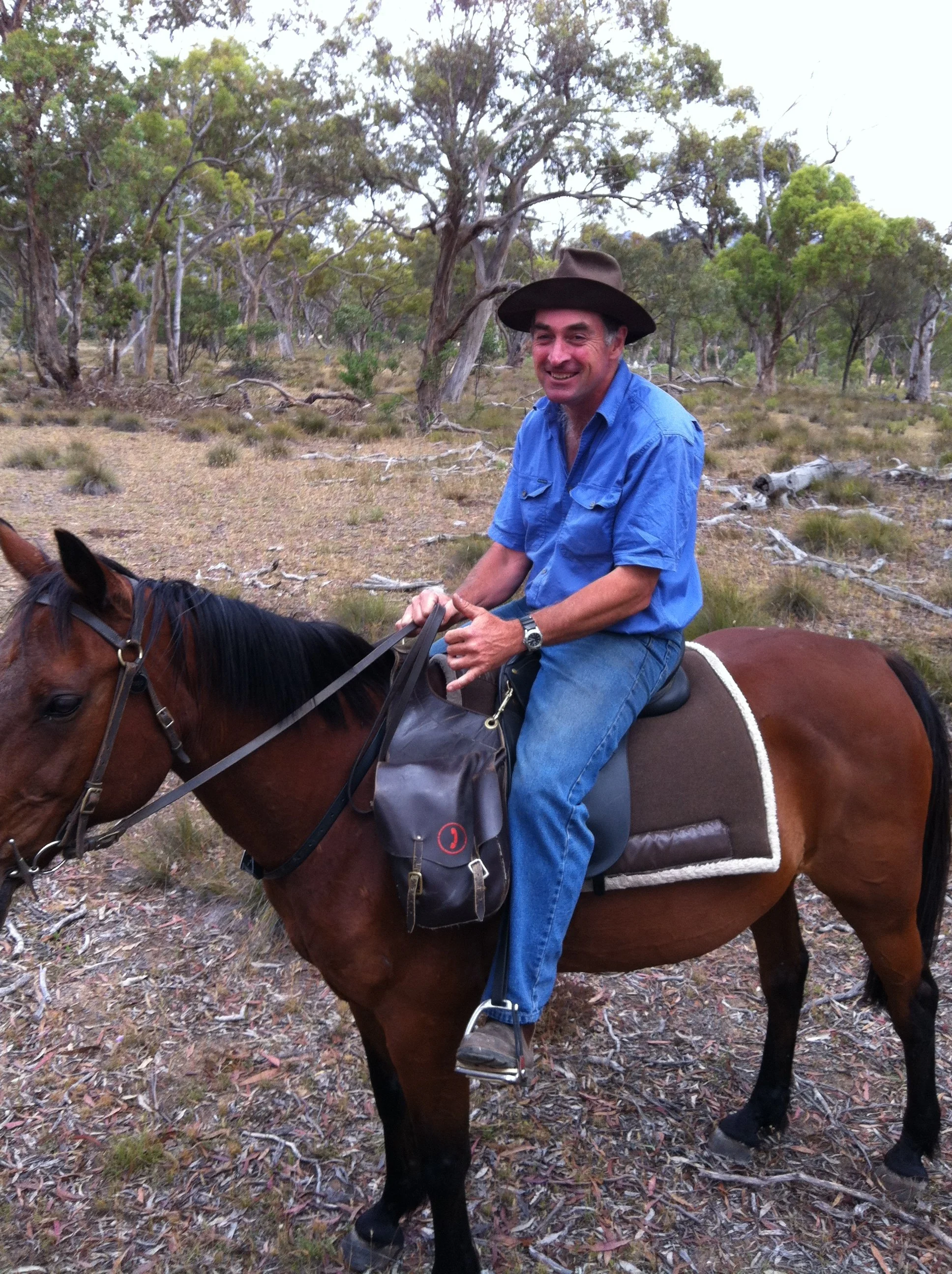 A man wearing a blue shirt and a wide-brimmed hat rides a brown horse in a wooded area with trees and dry ground.