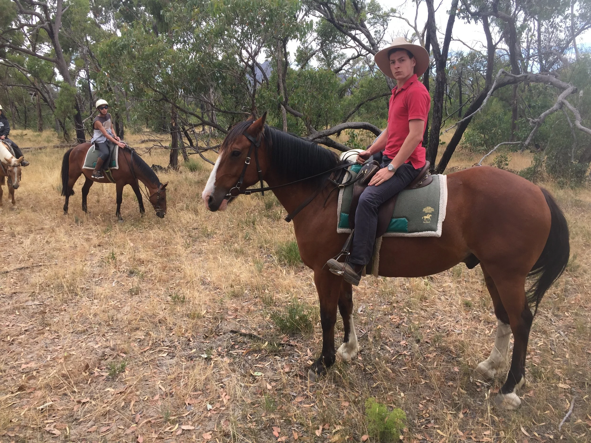 A young man in a red polo shirt and large hat riding a brown and white horse in a dry, wooded area with two other riders in the background.