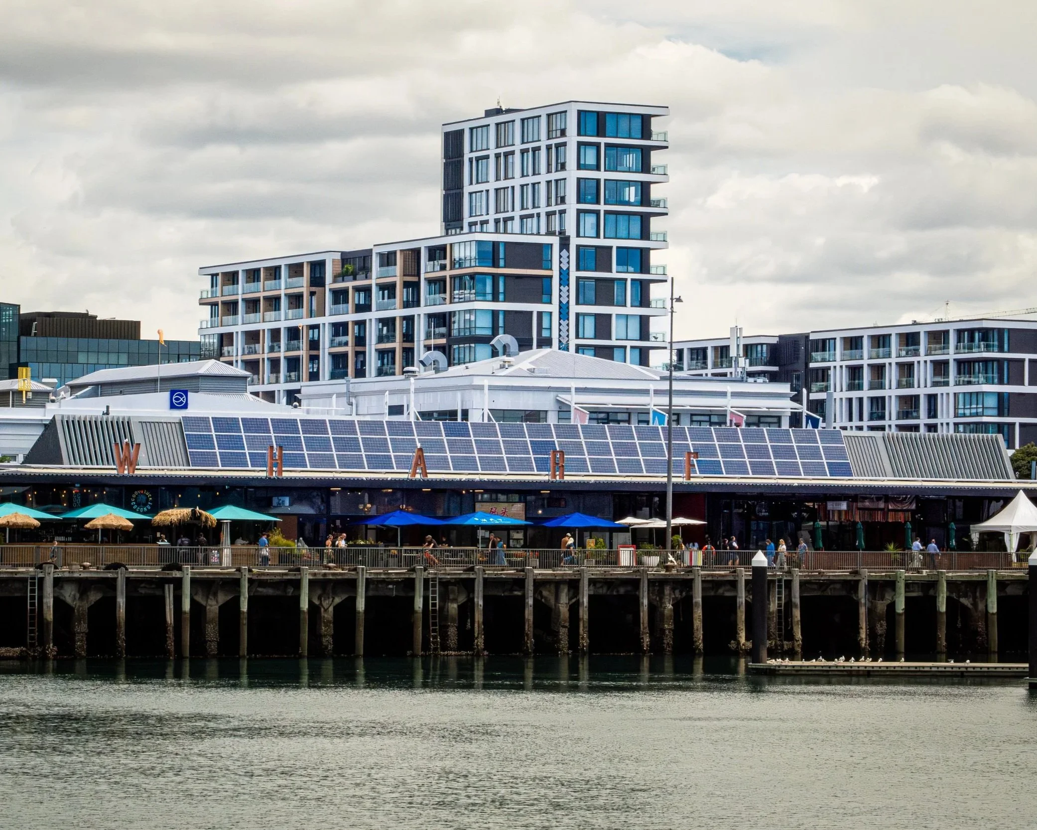 Modern waterfront restaurant with solar panels on the roof, in front of multi-story residential buildings, with people walking along the pier and seagulls on the water.