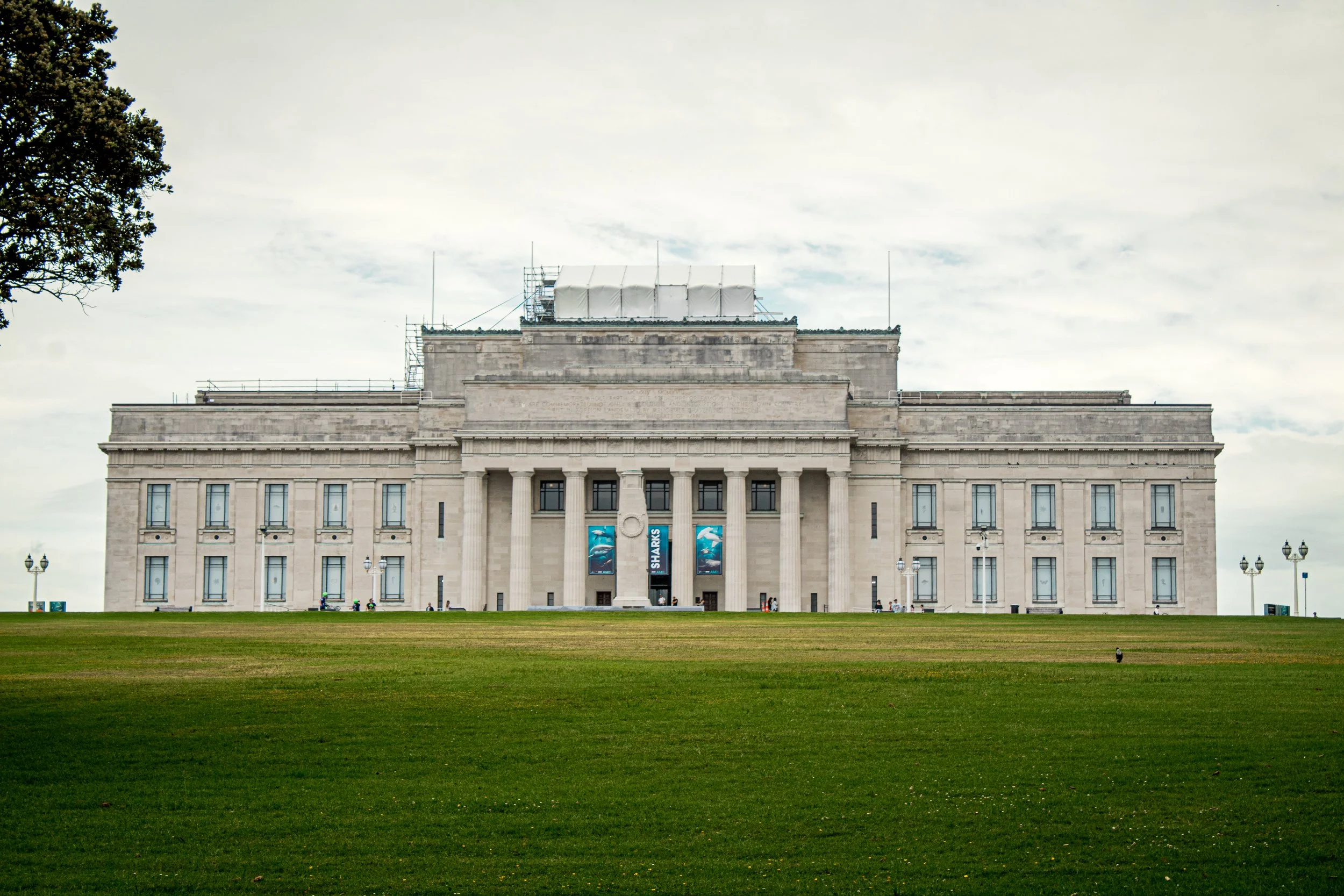 Front view of a large, classical-style building with columns and banners depicting sharks, situated on a grassy area.