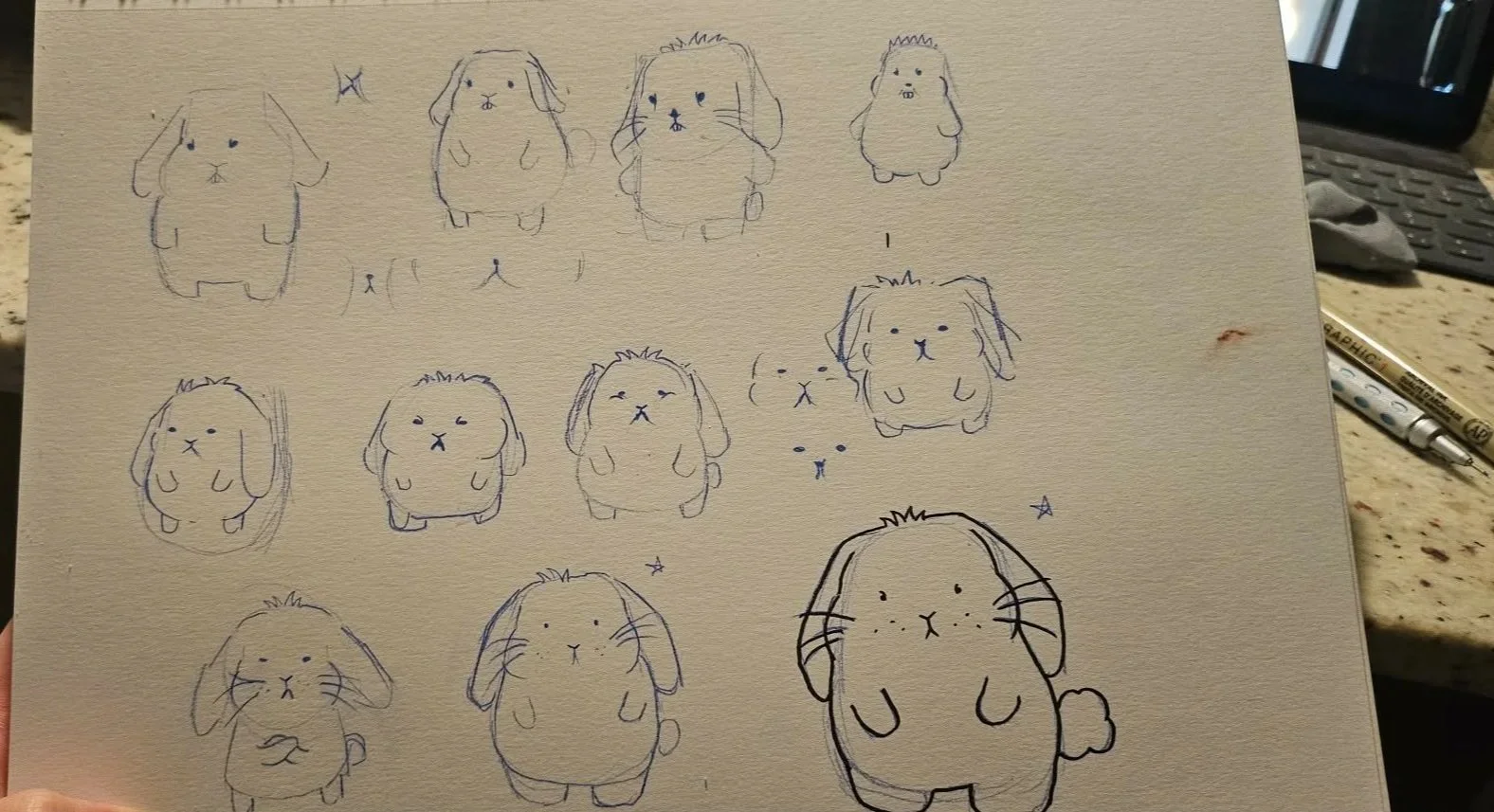 first sketches of Dumpling the bunny for Papinoli colouring books