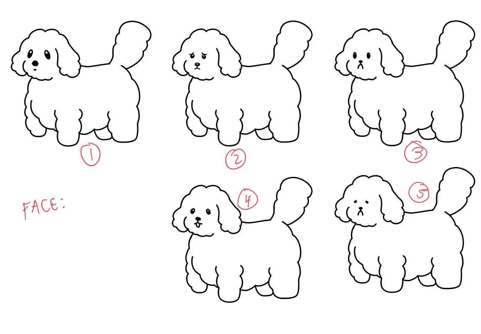 first sketches of Oobie the poodle for Papinoli colouring books