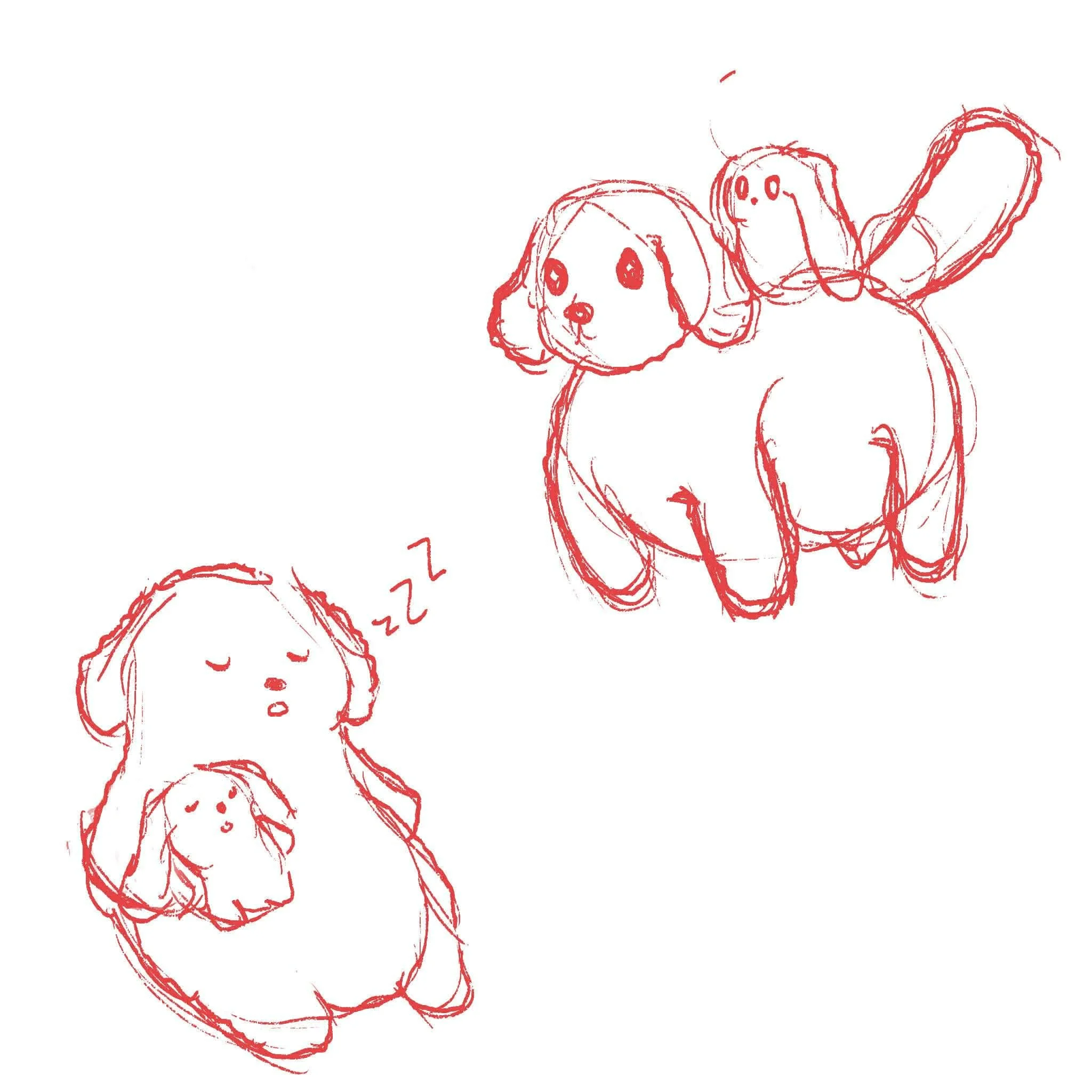 first sketches of Oobie the Poodle and Dumpling the bunny for Papinoli colouring books