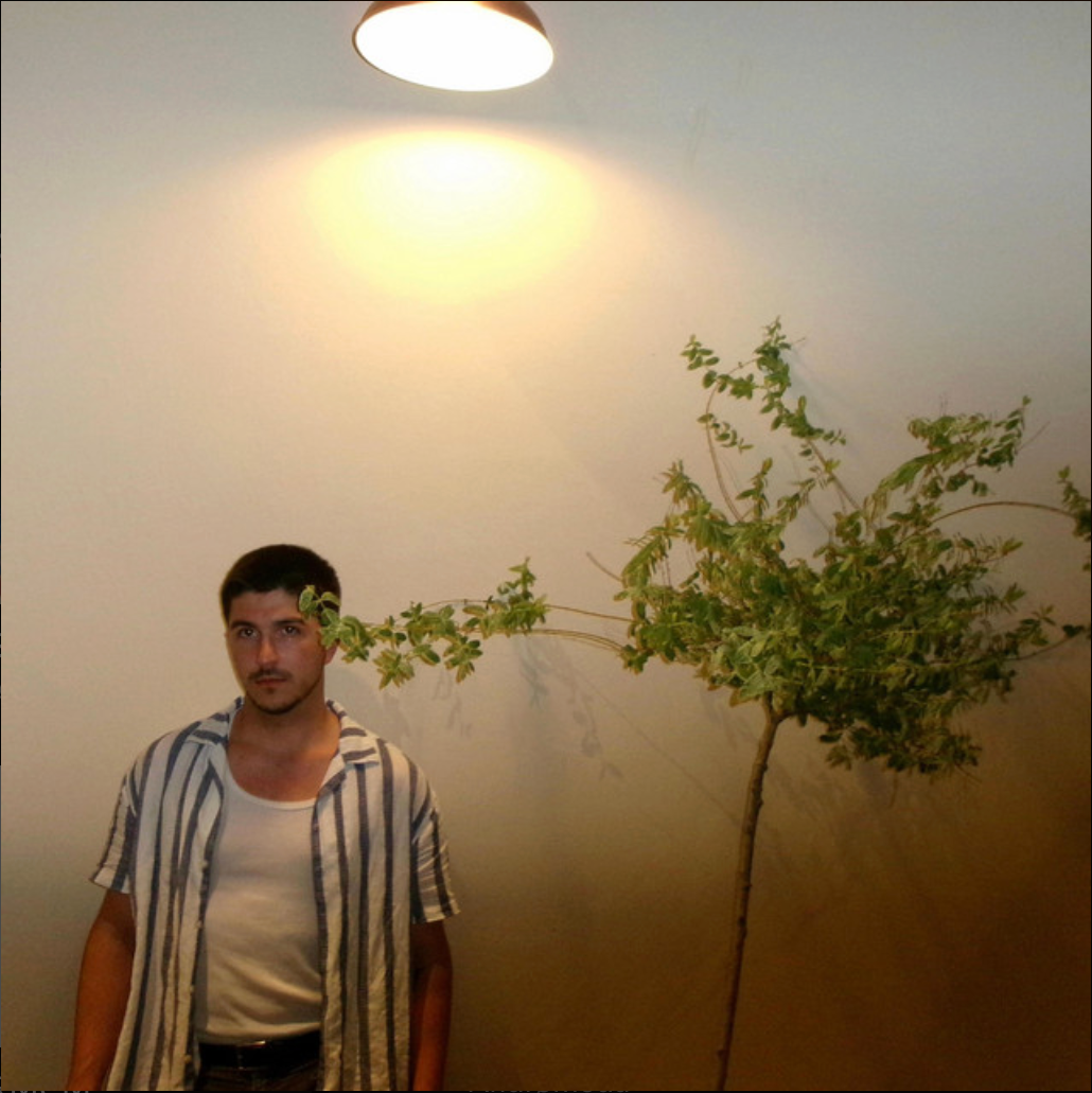 A man standing inside next to a small tree with a long branch extending from the tree towards his head, against a plain wall with a ceiling light overhead.