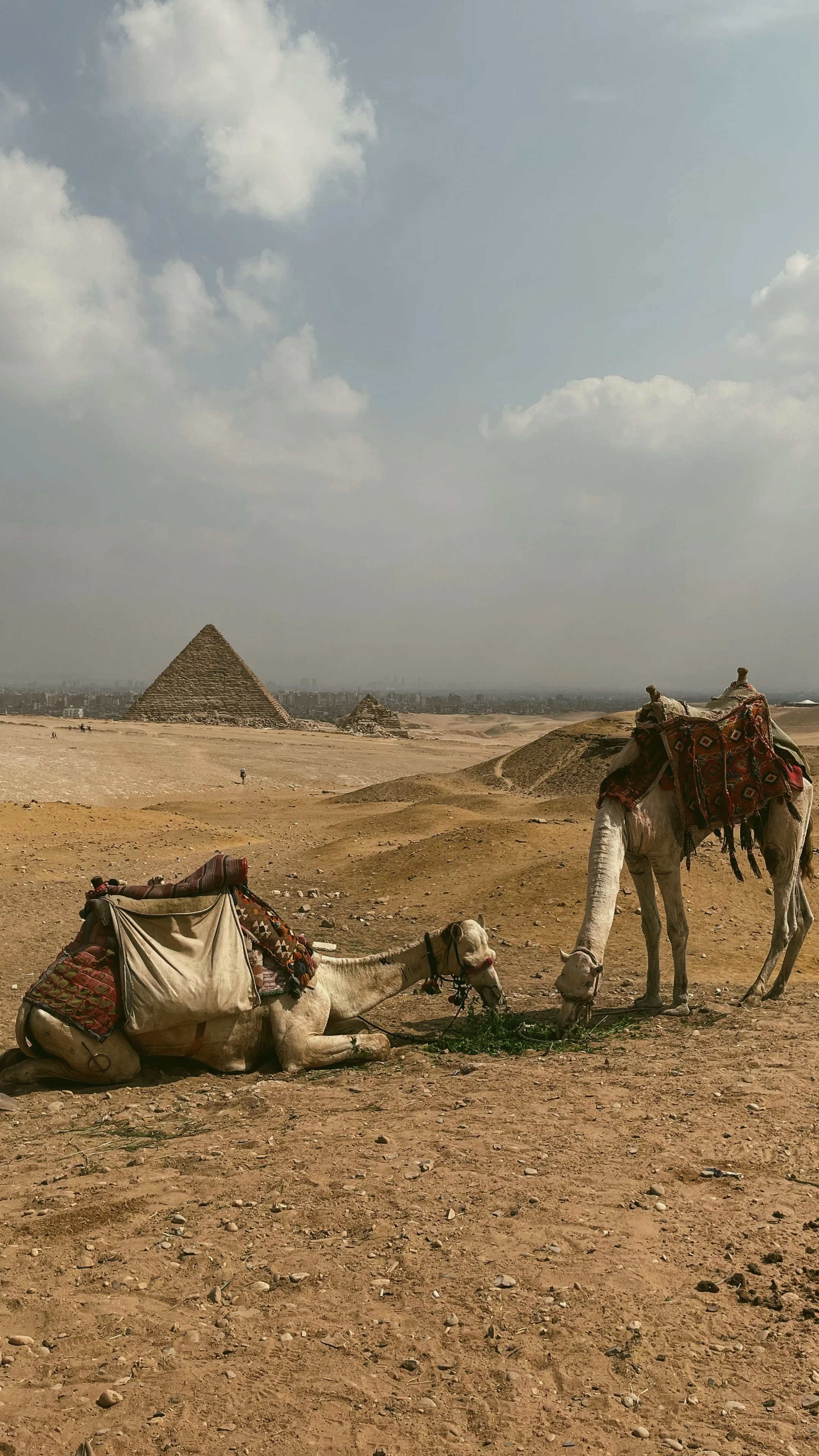 Egypt-2022-079.jpg