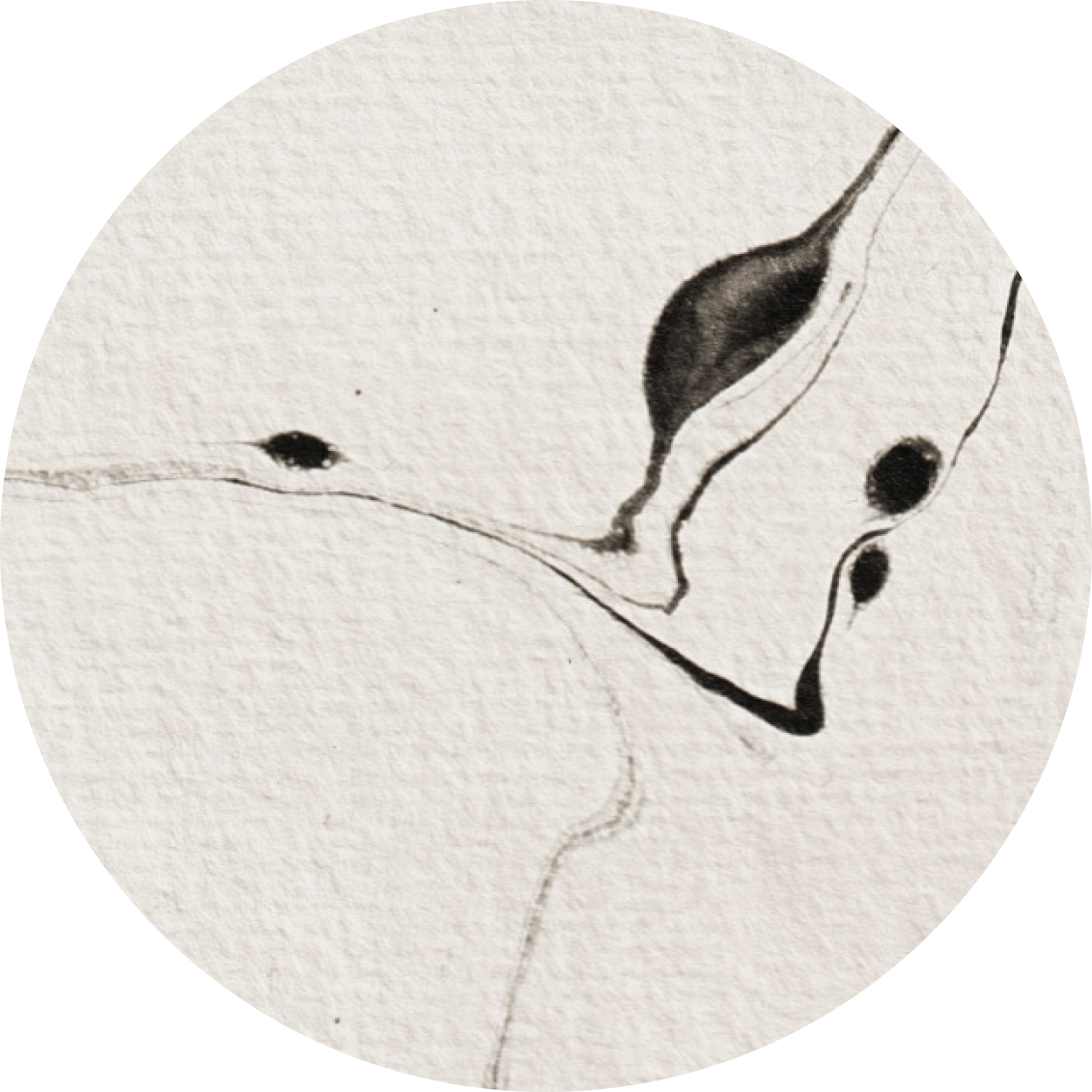 Black and white ink drawing of a woman lying on her side, with her head resting on her arm, eyes closed.