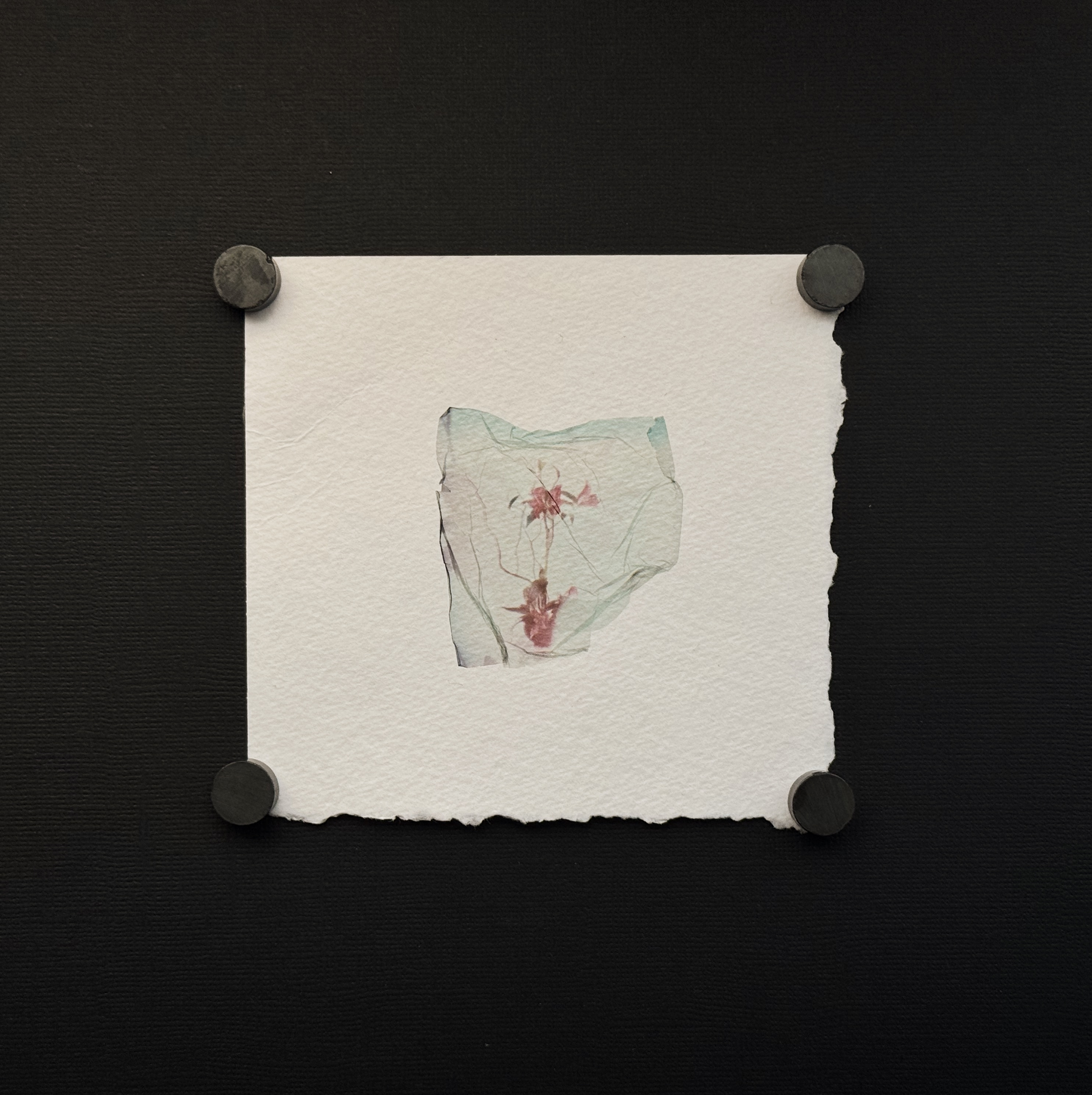 Ghost of Flowers No. 1 (1/1)