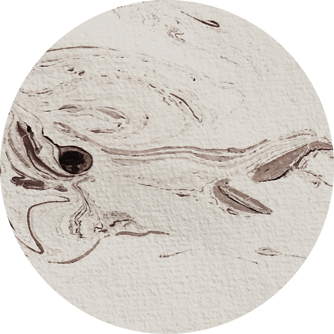 Sketch of a bearded dragon lizard on textured paper.