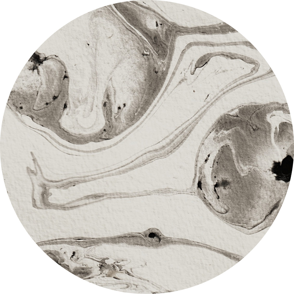 A black and white microscopic image of biological tissue with round and elongated structures.