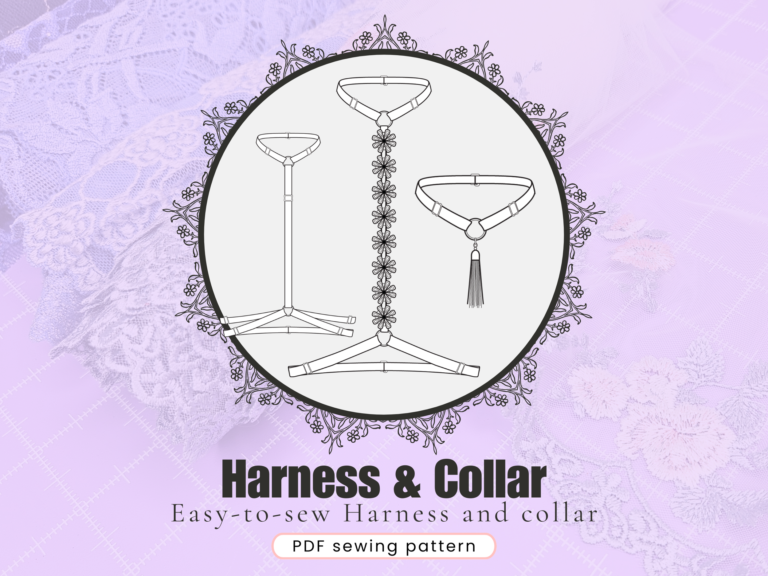 Harness and collar 1.png