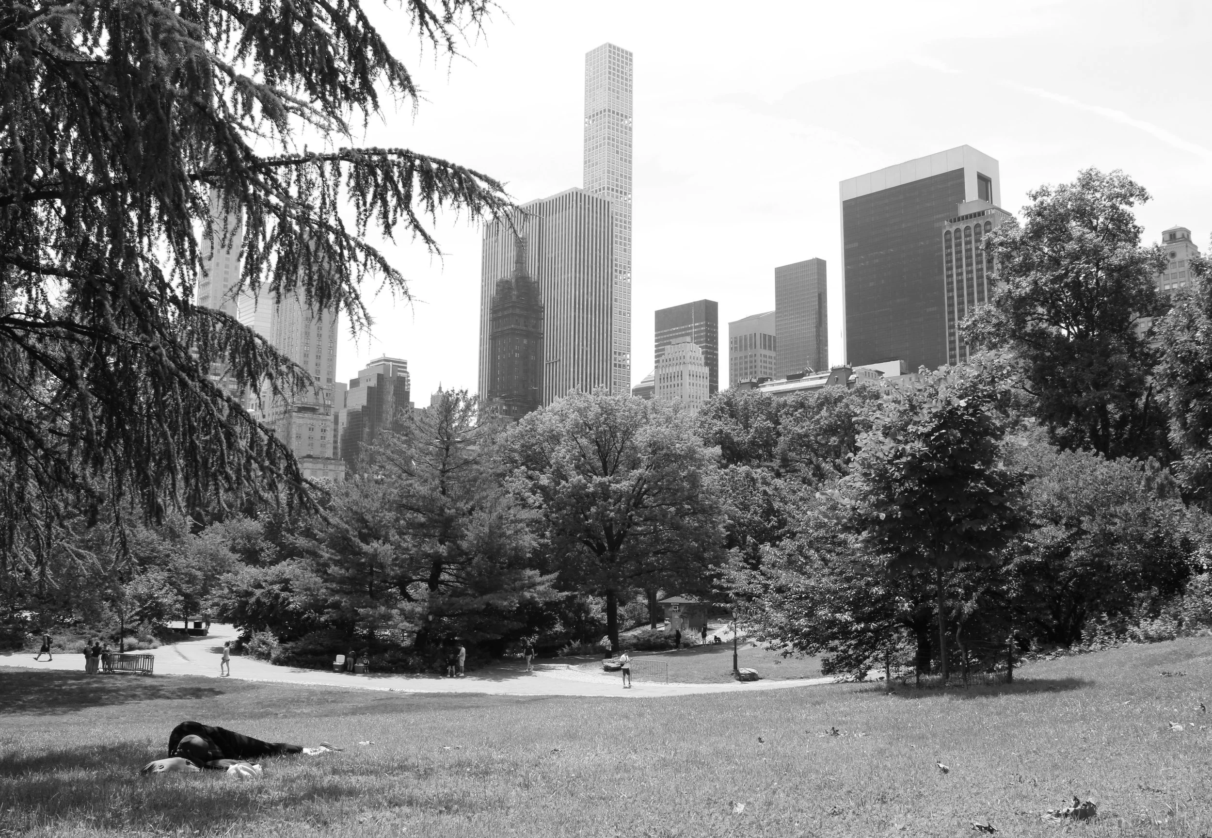 CentralParkView.JPG