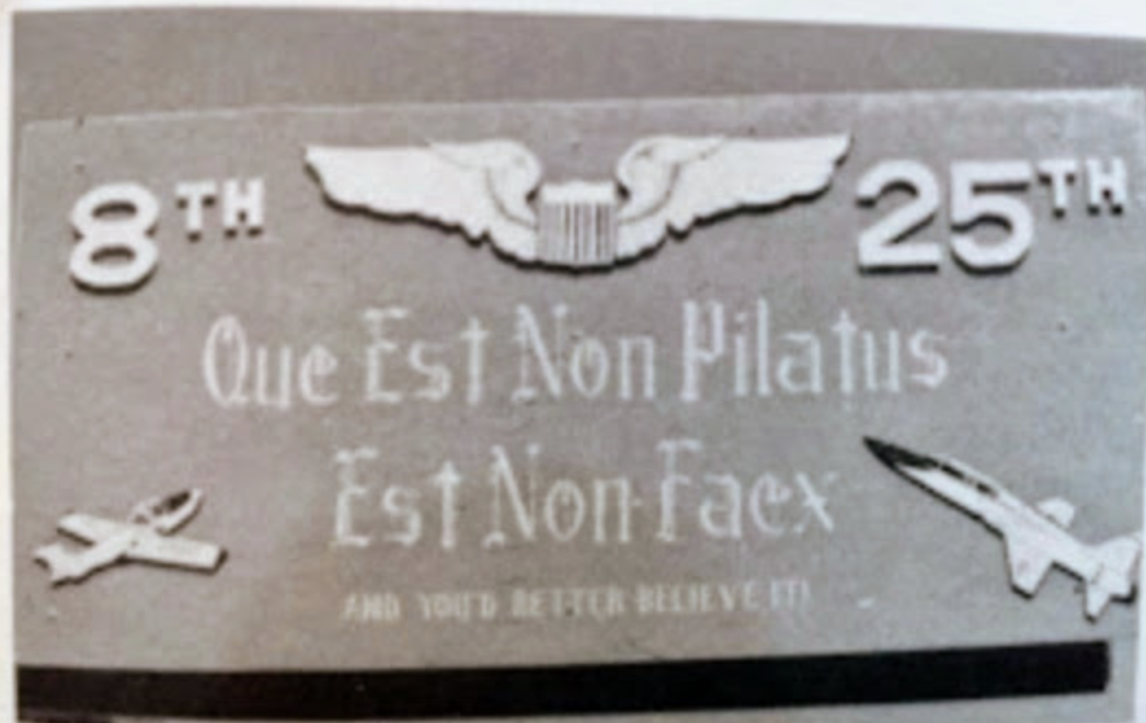 If You Ain’t A Pilot, You Ain’t…