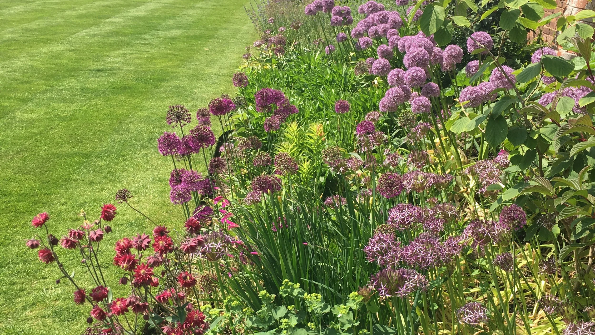 Starting Momo &amp; Co.