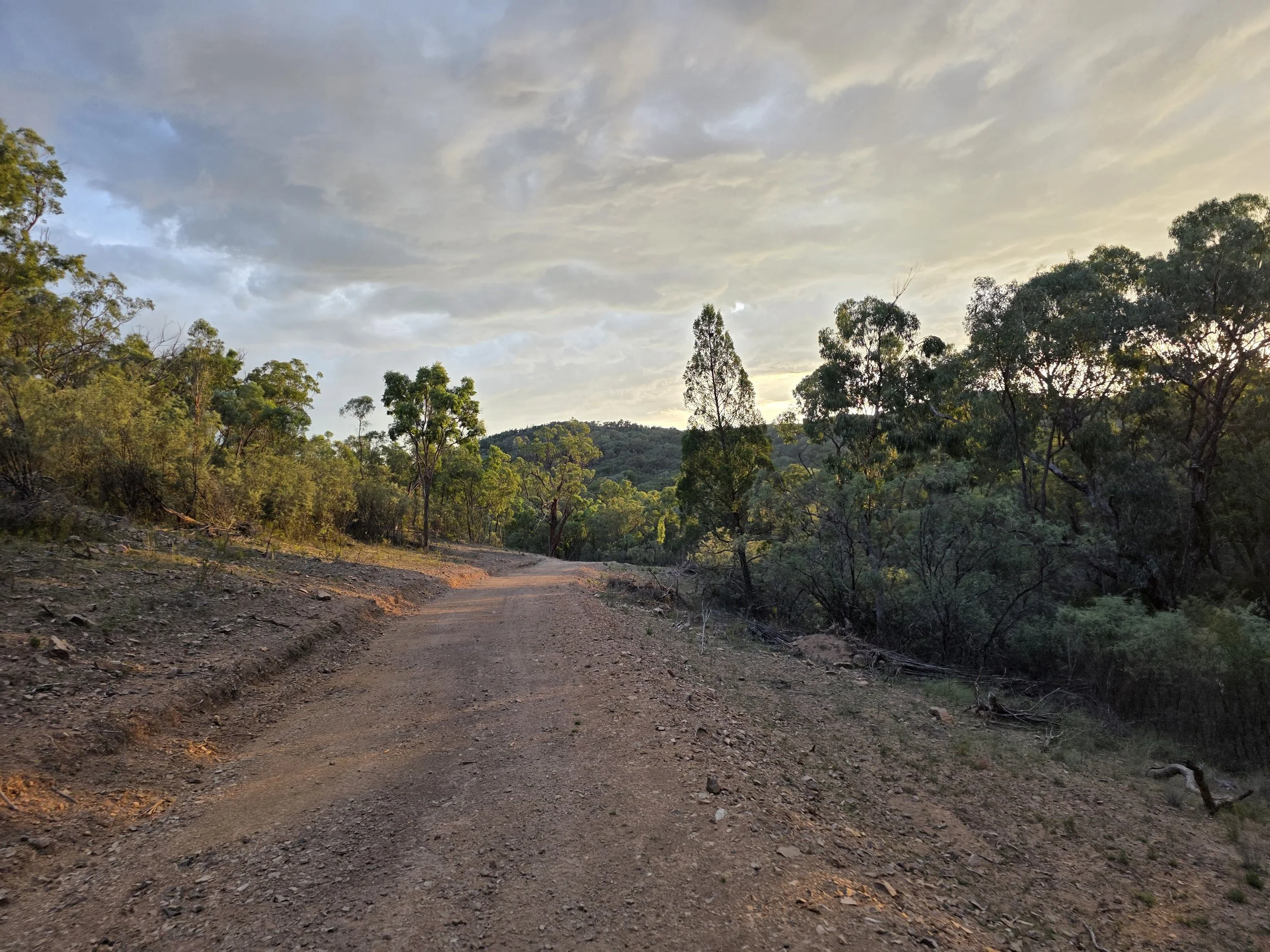 A dirt road winding through a forested landscape with green trees on either side under a cloudy sky at sunset.