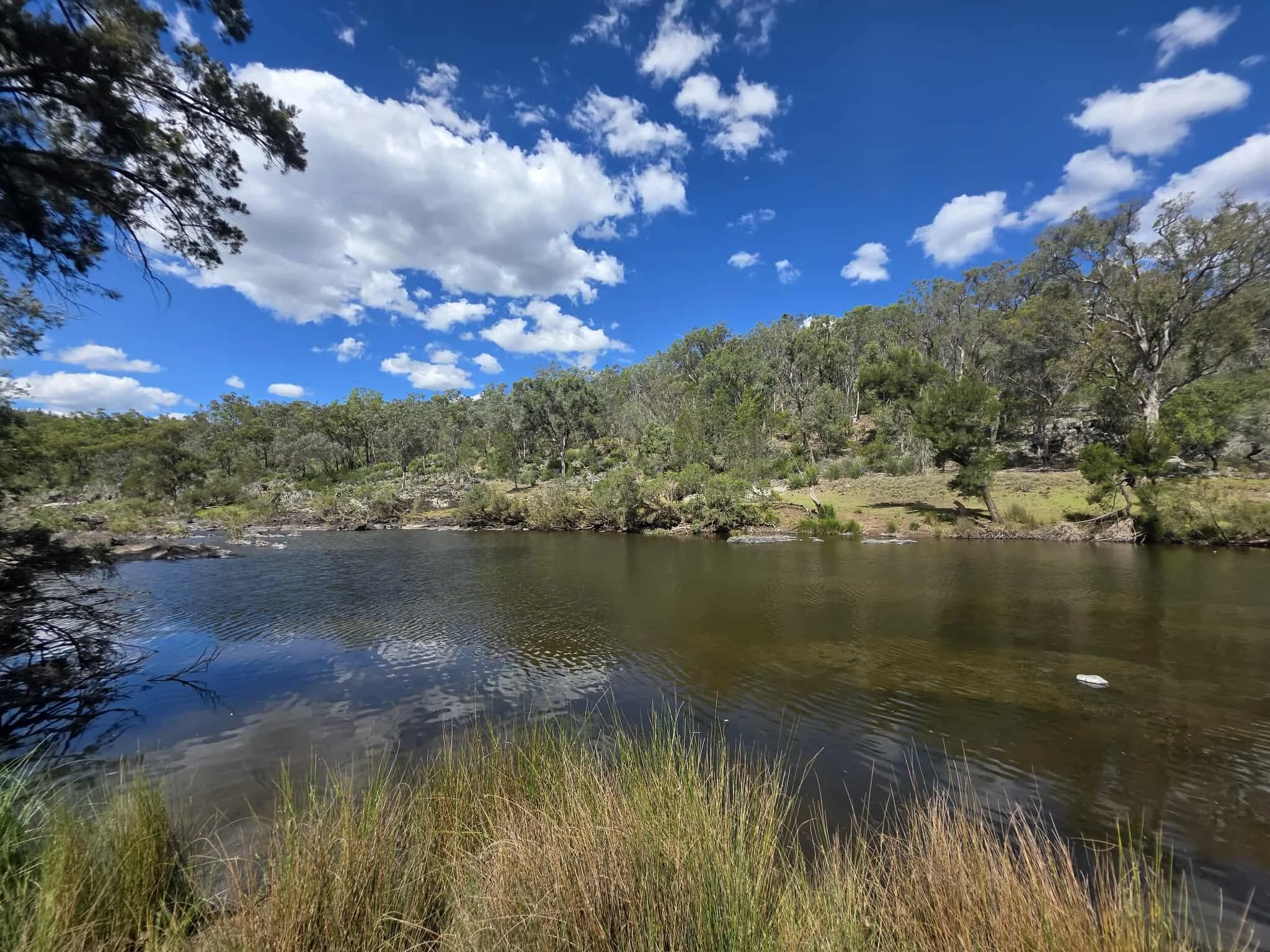A calm river flowing through a forested area under a partly cloudy blue sky.