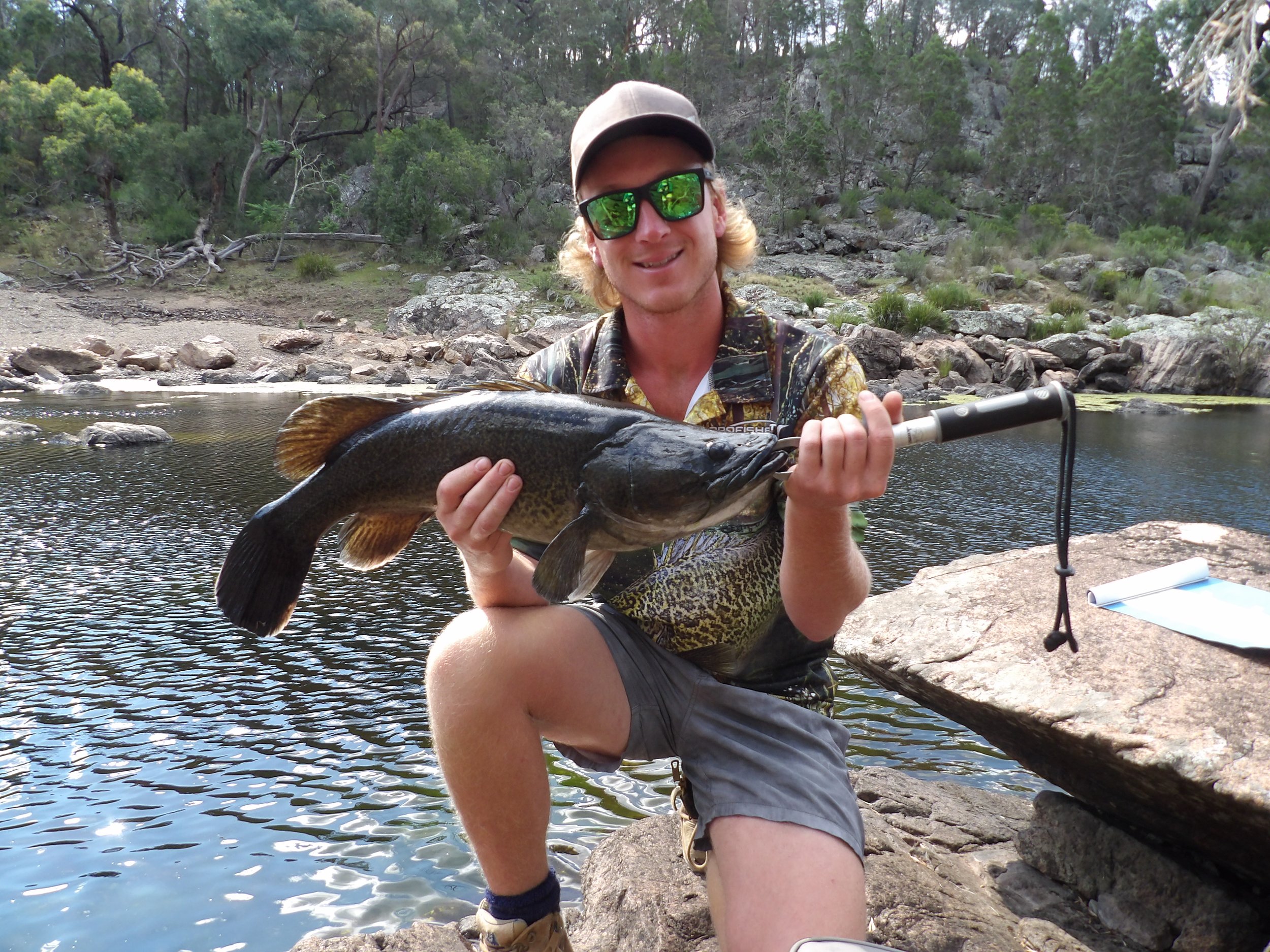 A man wearing sunglasses, a cap, and a camouflage shirt kneels on a rock by the river, holding a large fish with a fishing rod.