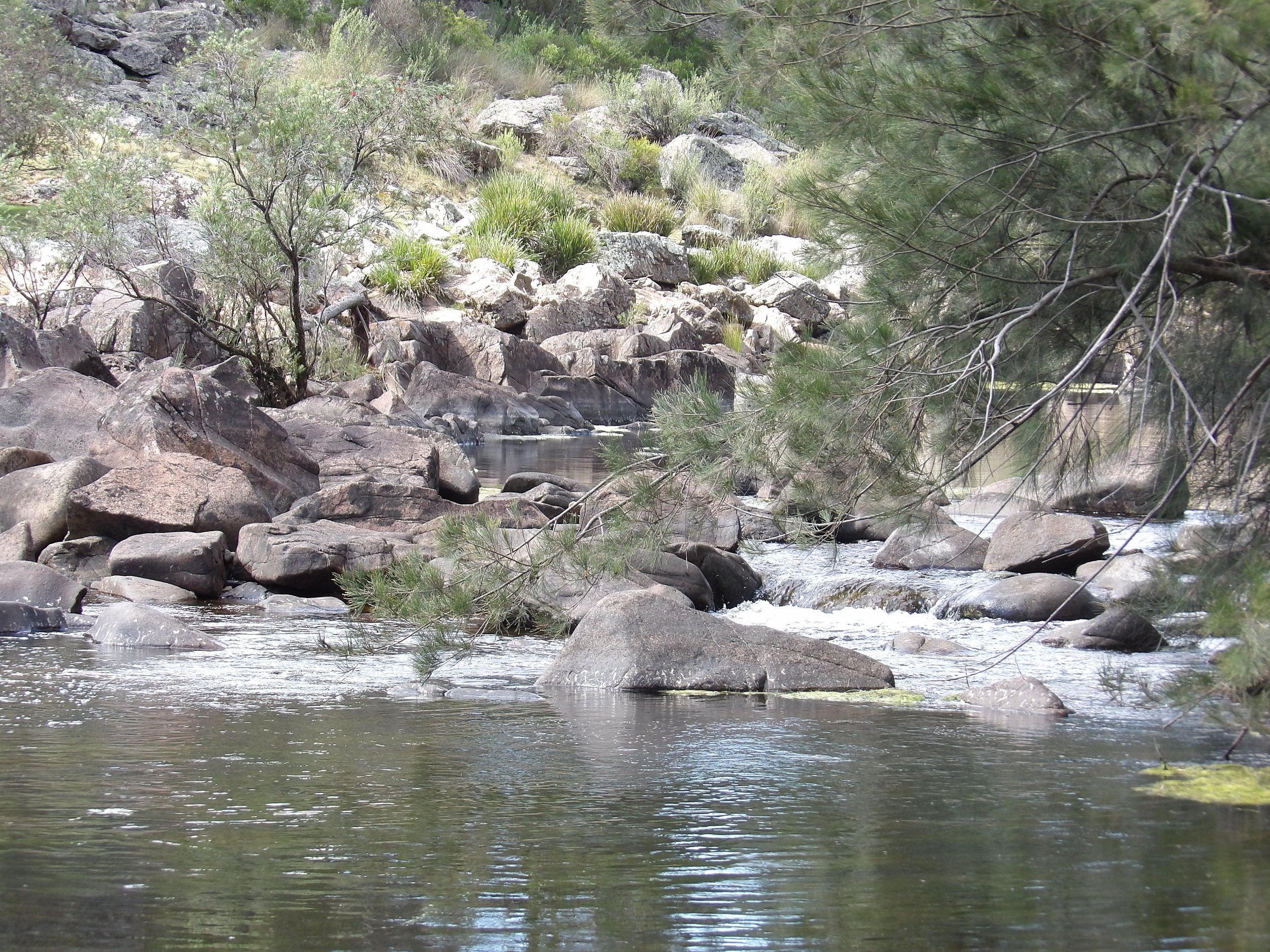 A river flowing over rocks in a natural landscape with trees and bushes.