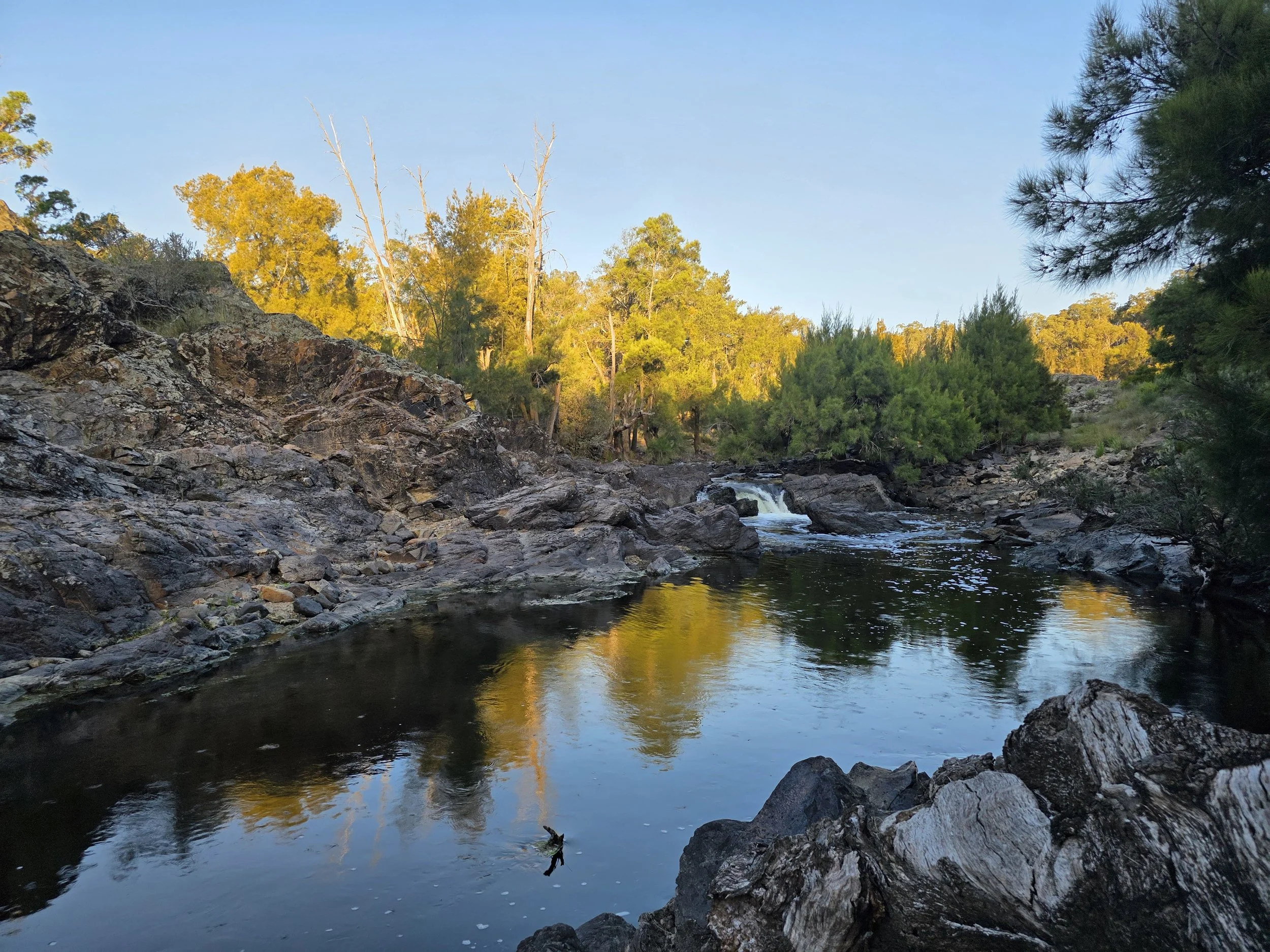 A rocky river with small waterfalls surrounded by trees, some with green foliage and some without leaves, in a natural outdoor setting during sunset.