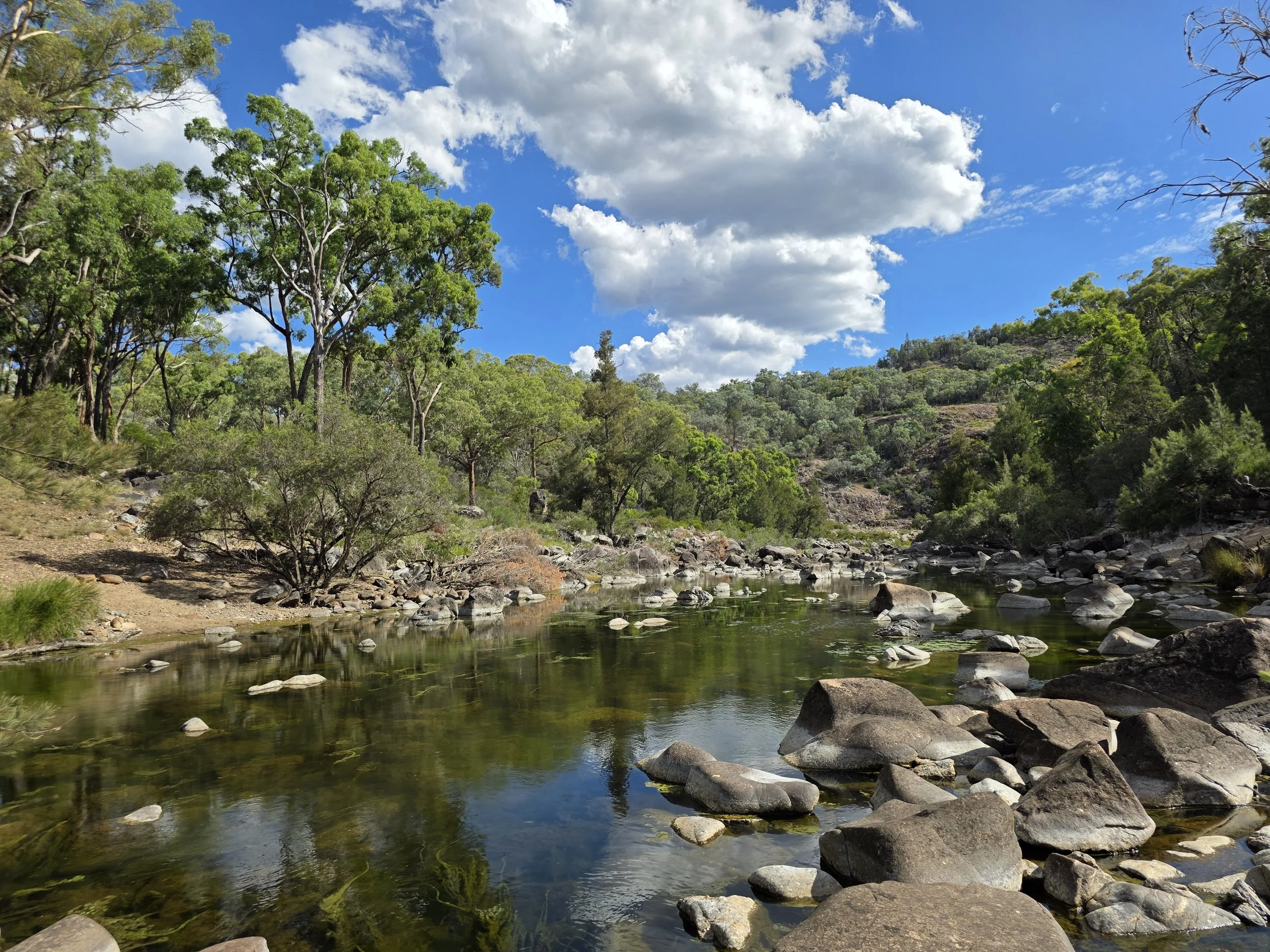 A rocky river flows through a forested landscape under a partly cloudy blue sky.