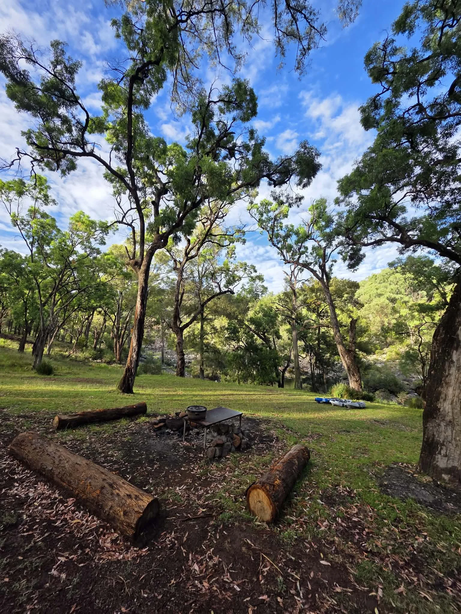 A scenic outdoor camping area with a campfire grill surrounded by tree logs, in a lush green forest with tall trees, under a partly cloudy blue sky.