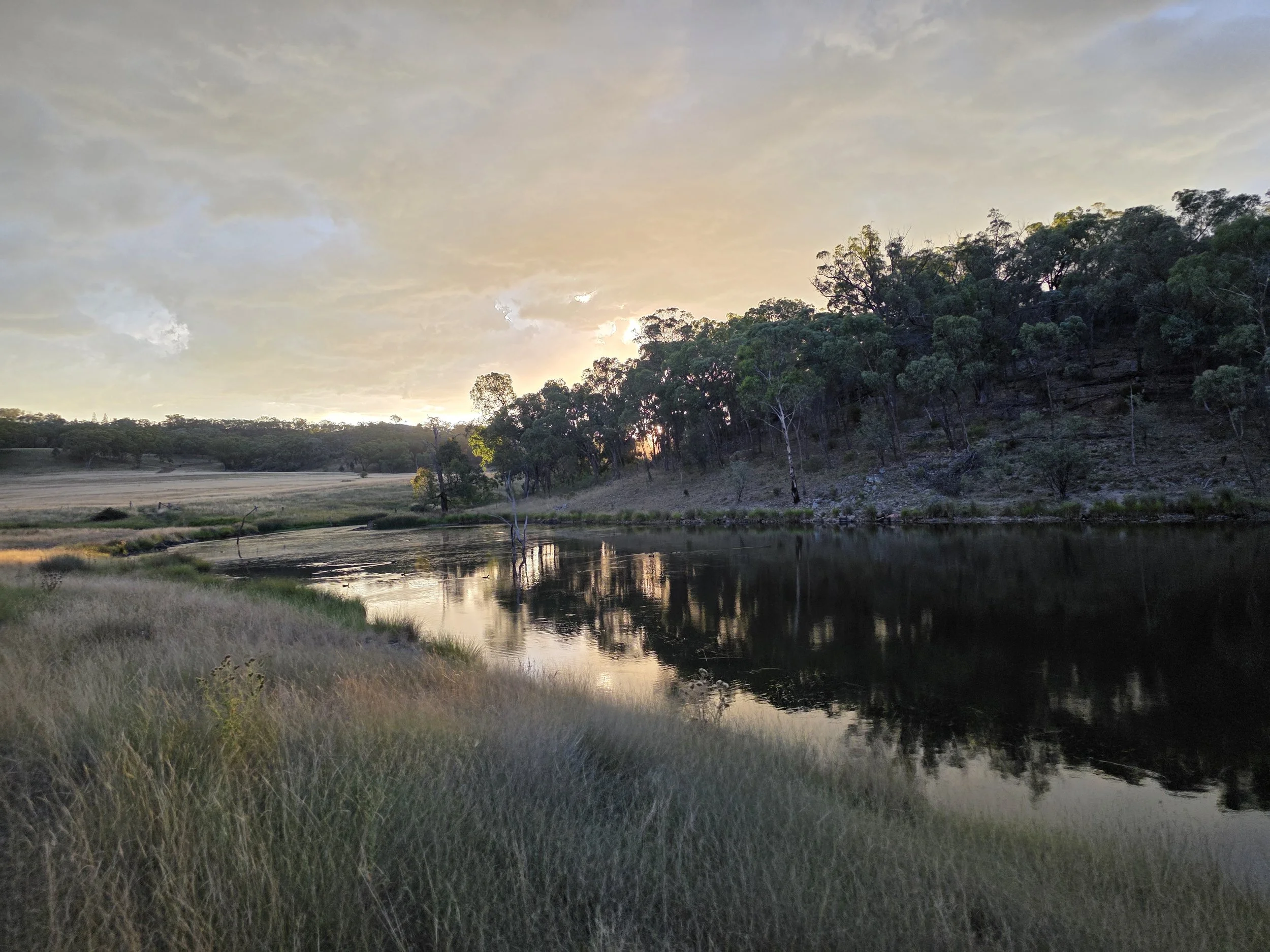 A landscape scene at sunset with a calm river, grassy banks, and a hillside with trees in the background.
