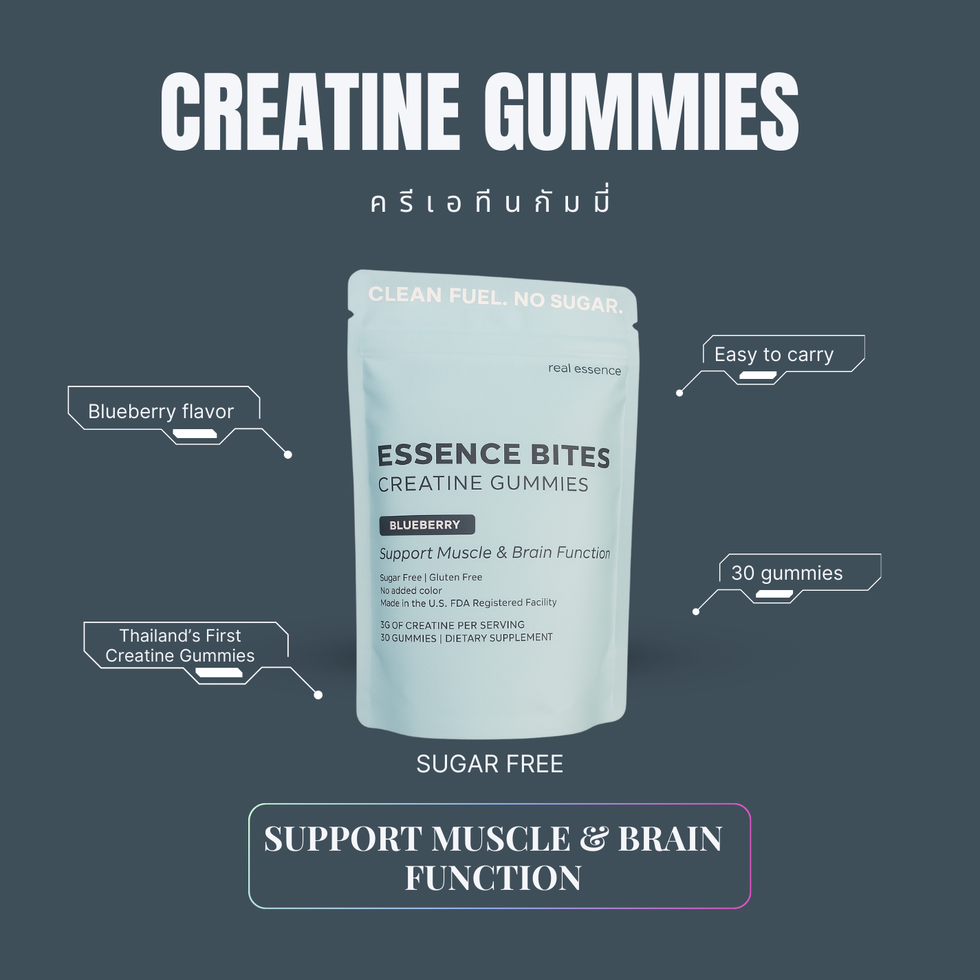 Essence Bites Creatine Gummies (small pack)