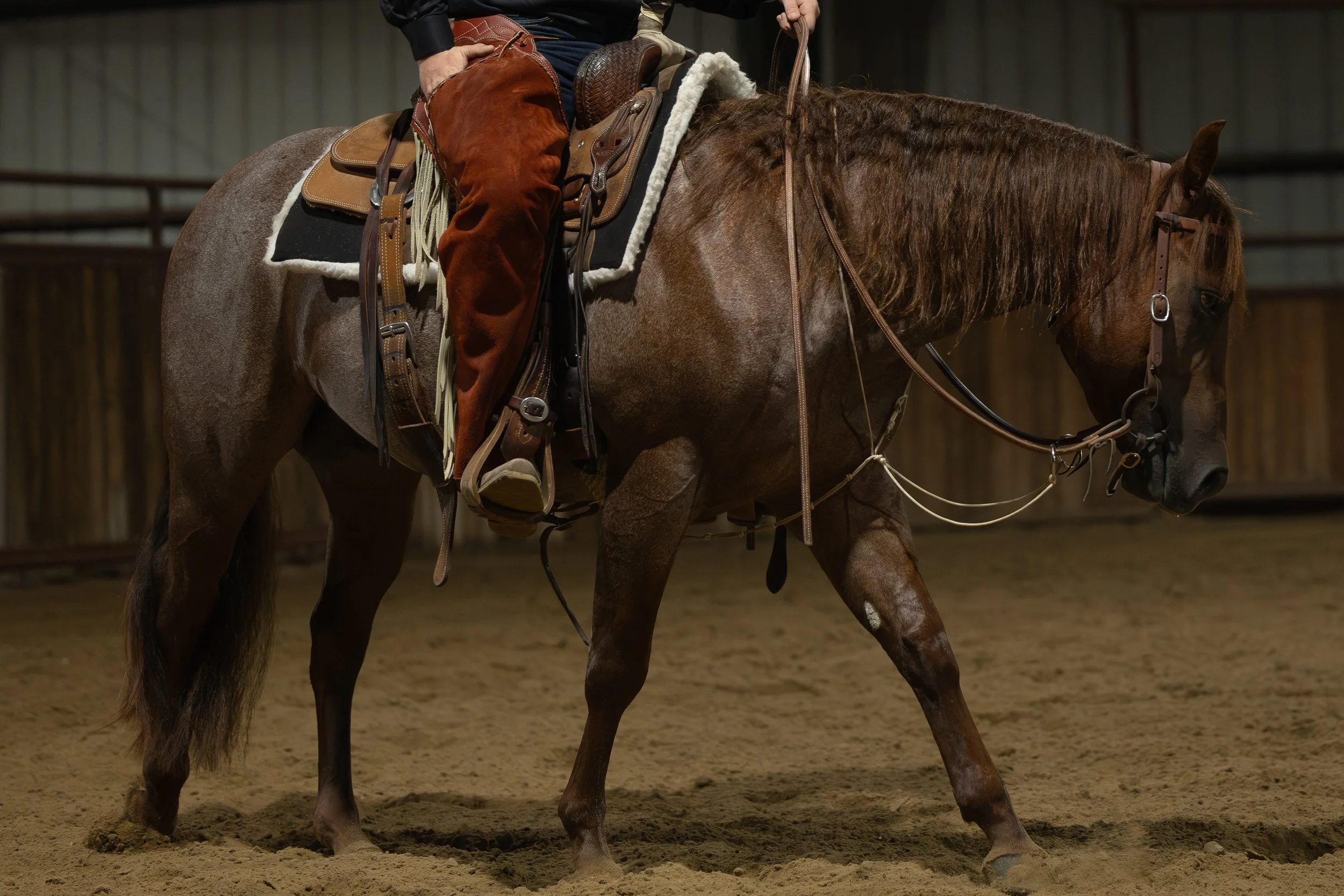 A brown horse with a rider sitting on its back, inside a riding arena with sandy ground and a wooden fence.