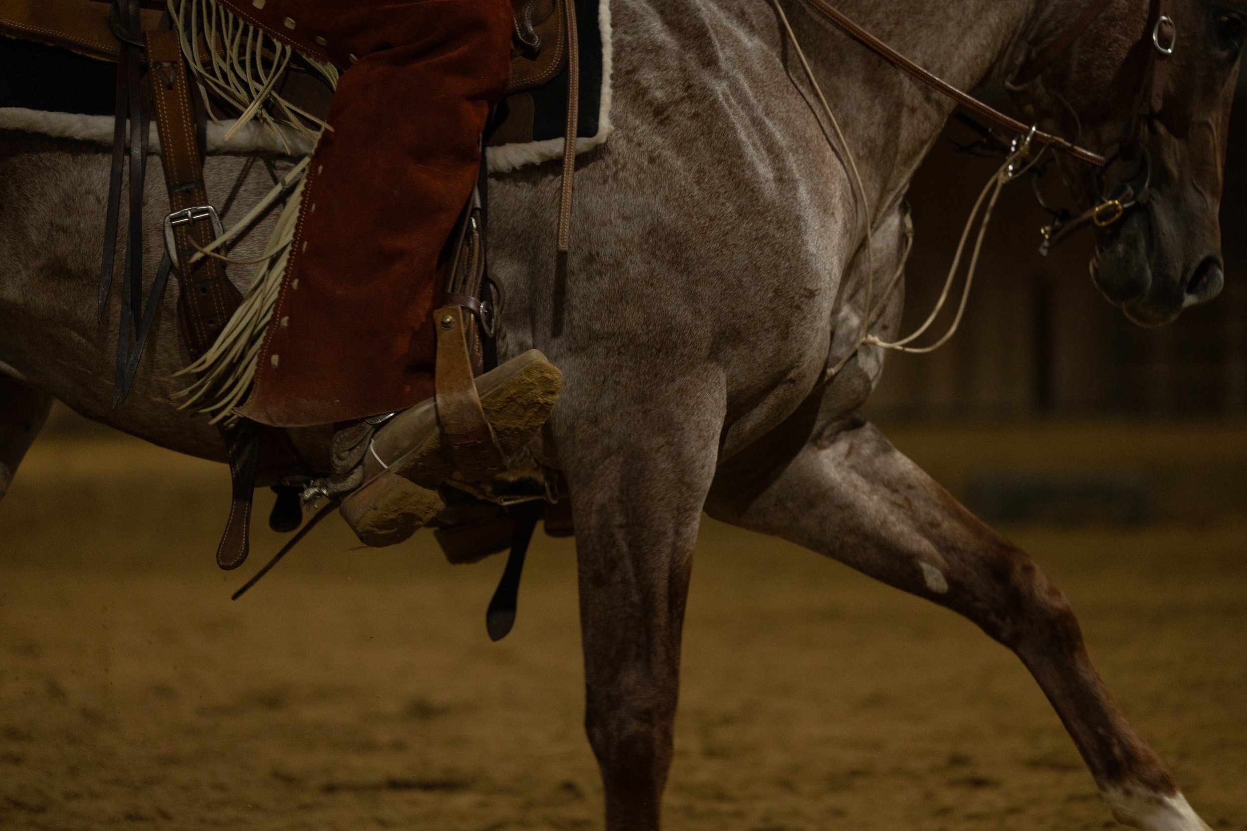 Close-up of a horse wearing leather saddles and riding gear, with a focus on its hindquarters and legs, in an indoor arena.