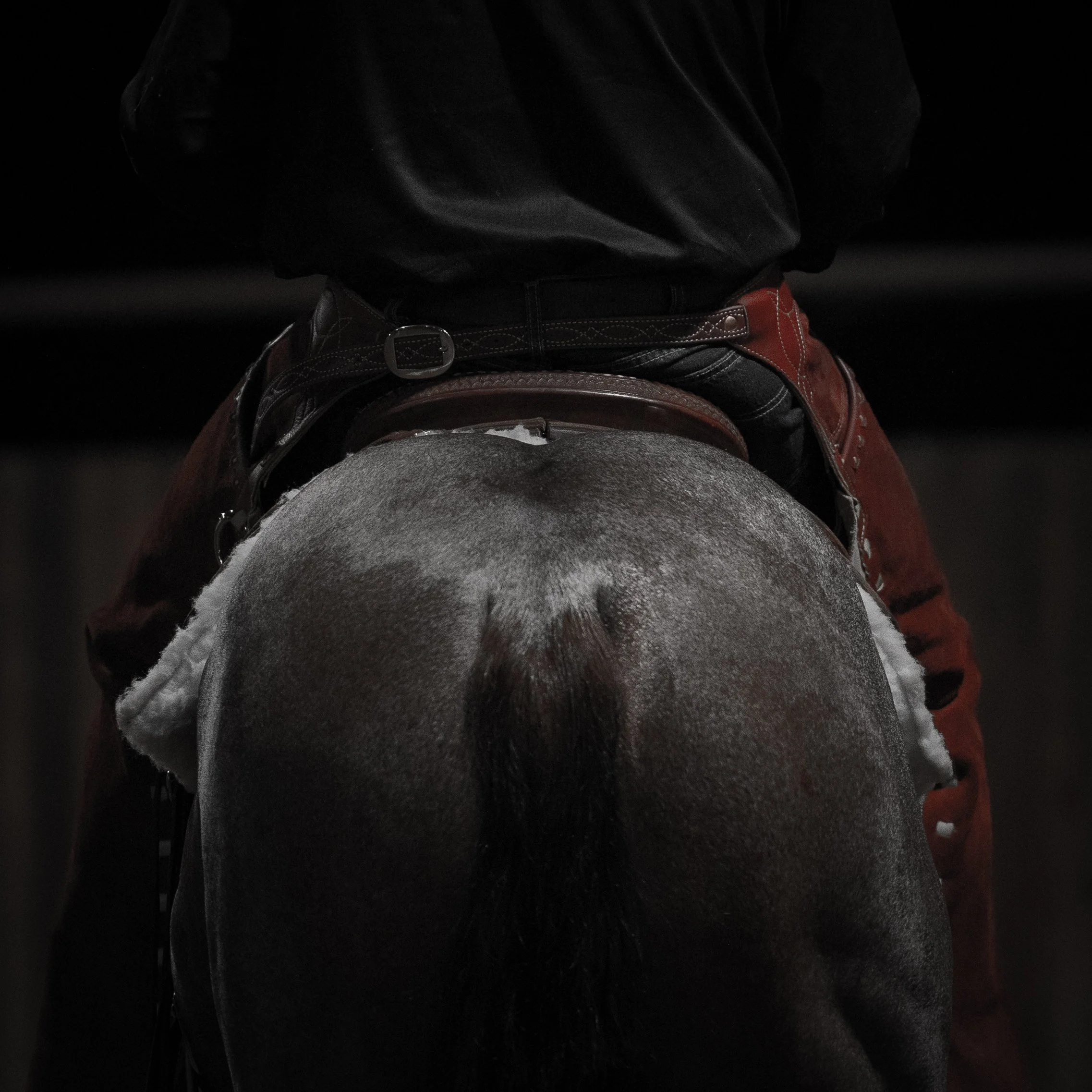 Close-up of a person's lower back and buttocks on a horse's withers, with a black shirt and red pants, in a dark setting.