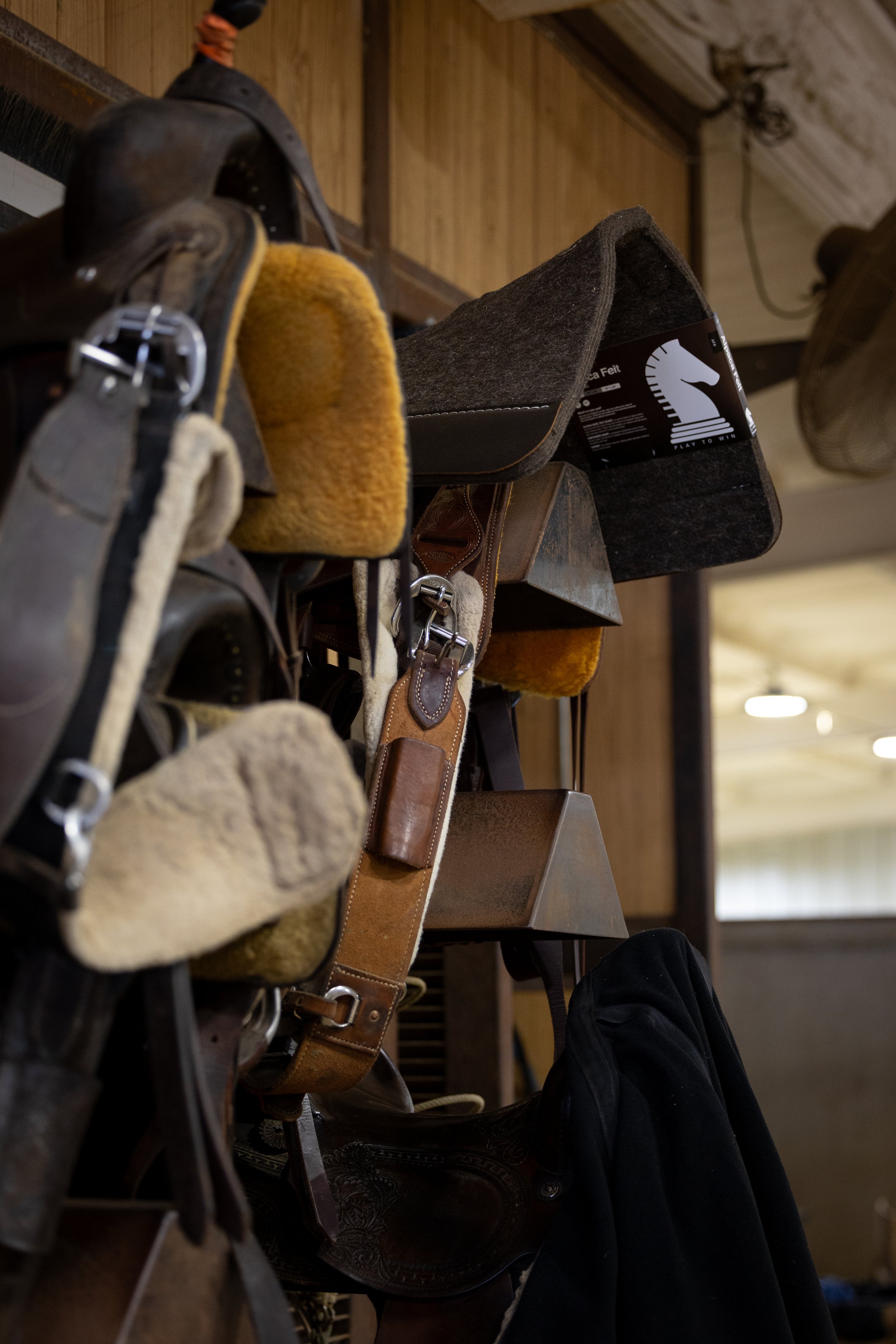 Mounted horse saddles and associated riding gear in a rustic indoor setting.