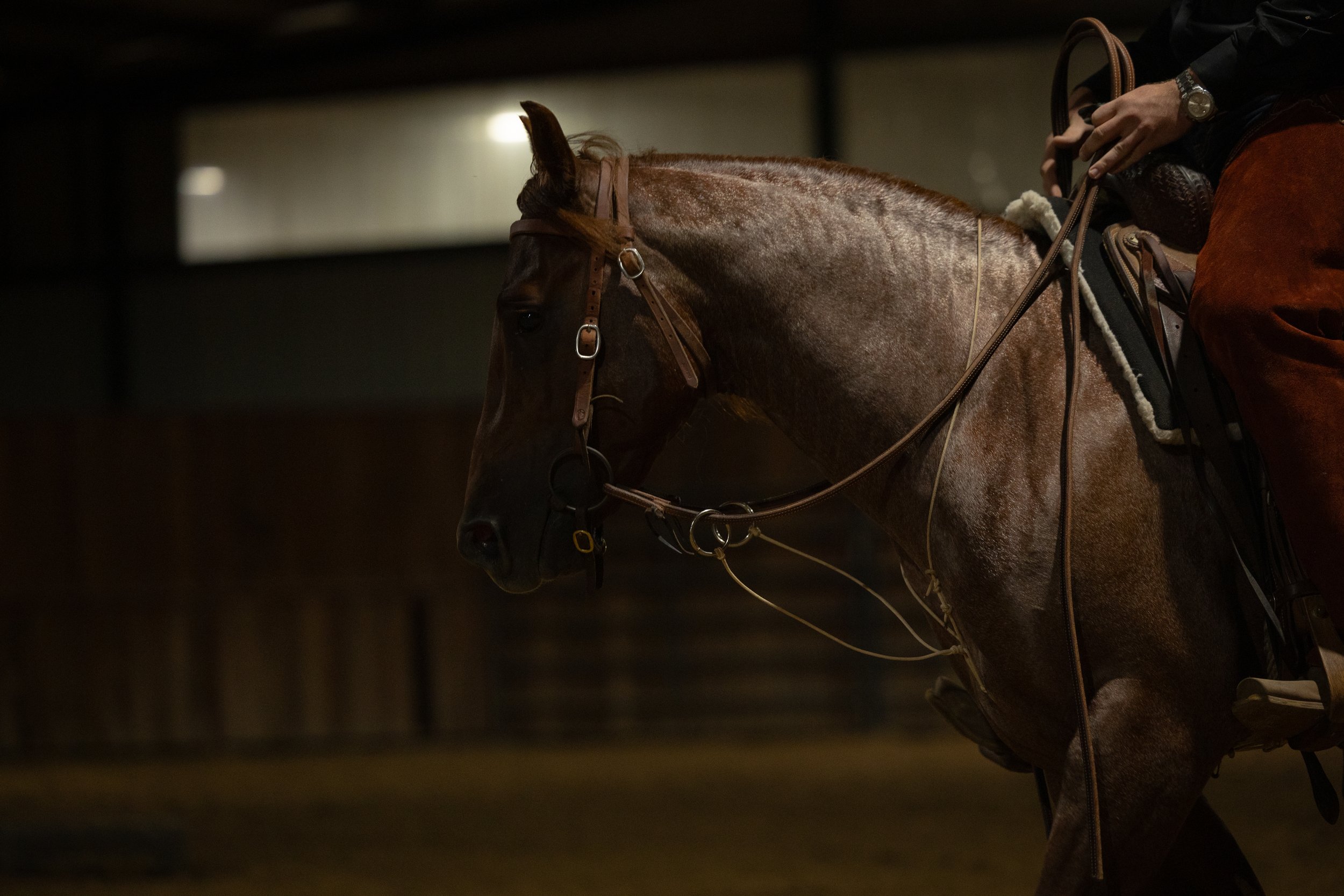 A person riding a brown horse inside a dimly lit indoor riding arena.