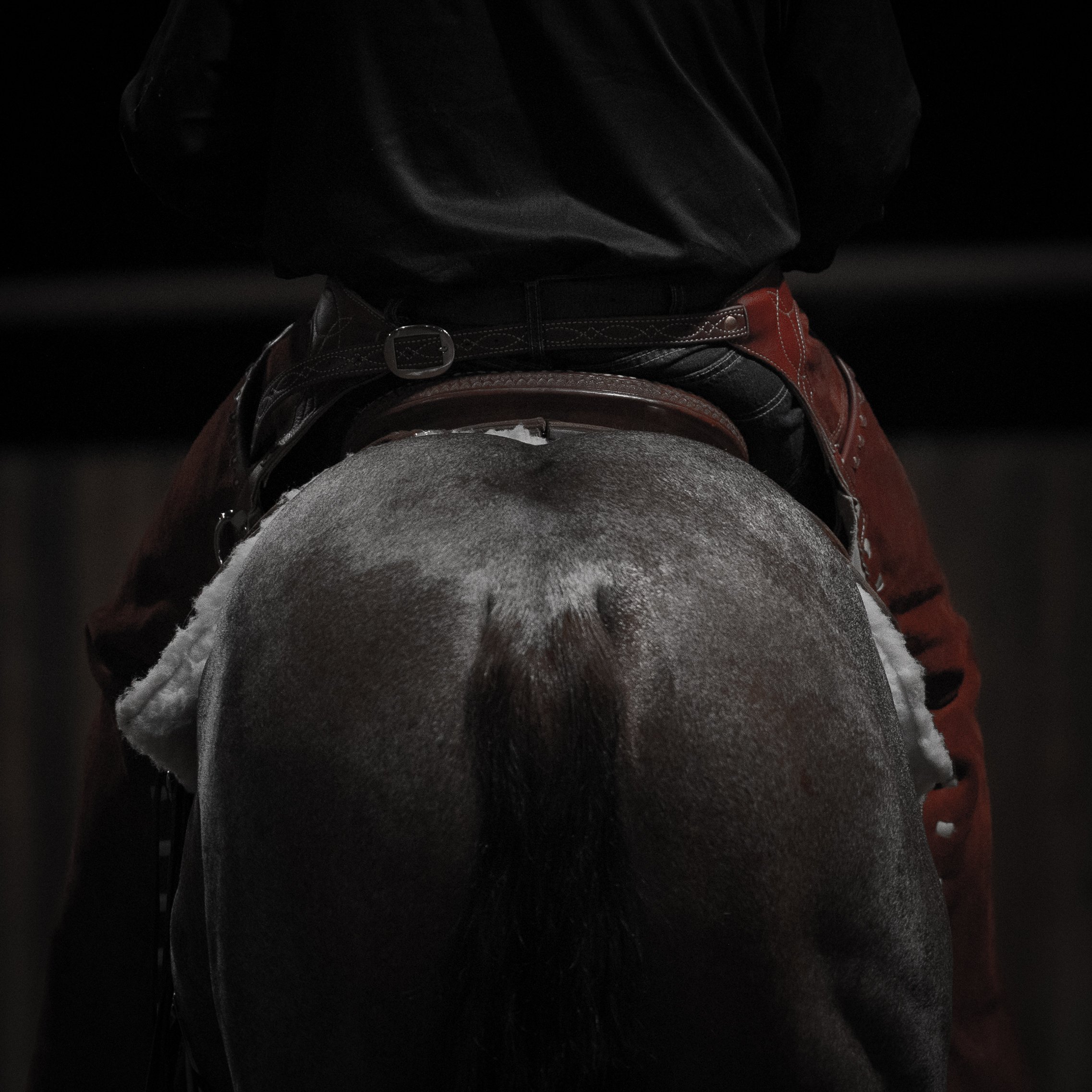 Close-up of a horse's back and tail, with a rider in black and brown riding clothes in a dim environment.