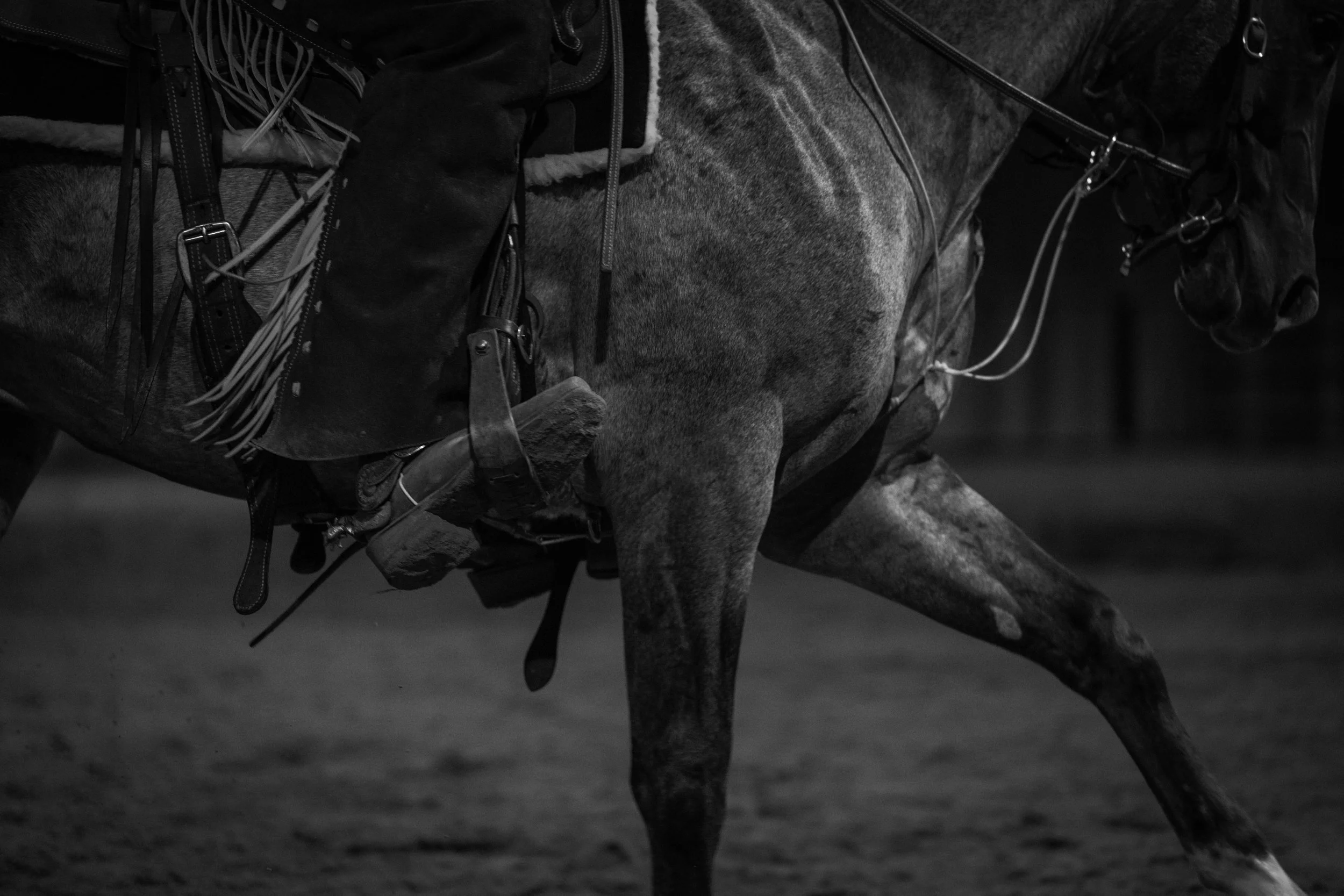 A close-up black and white photo of a horse's body, with a rider wearing riding gear visible in the background.