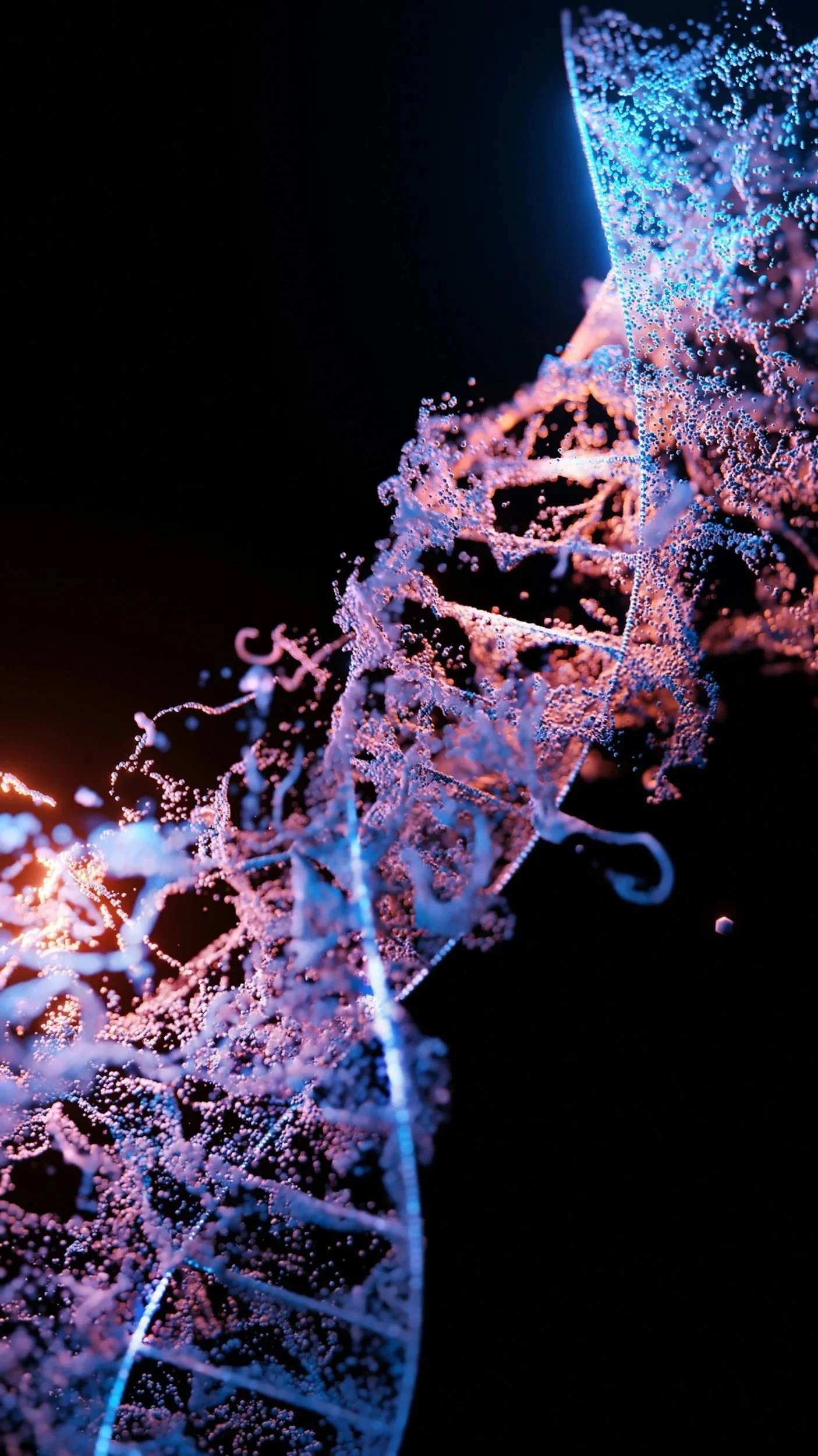 Nervous System Regulation