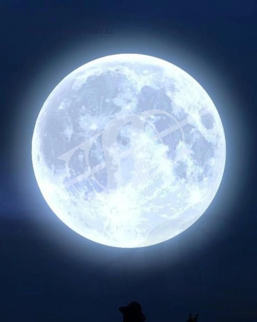 Full Moon SSP.jpg