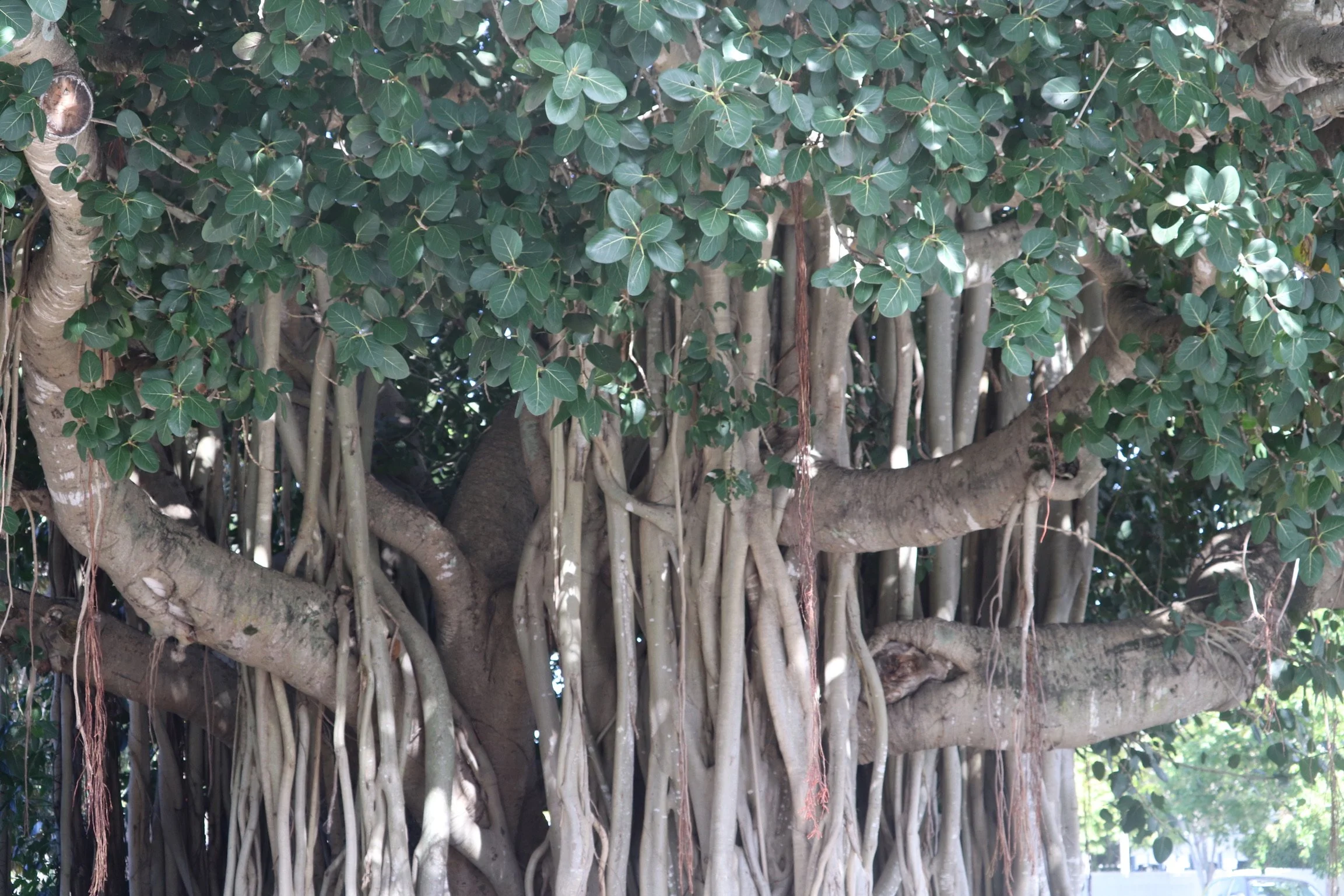 The enemy is fear; we think it is hate, but it is fear ~ Gandhi.