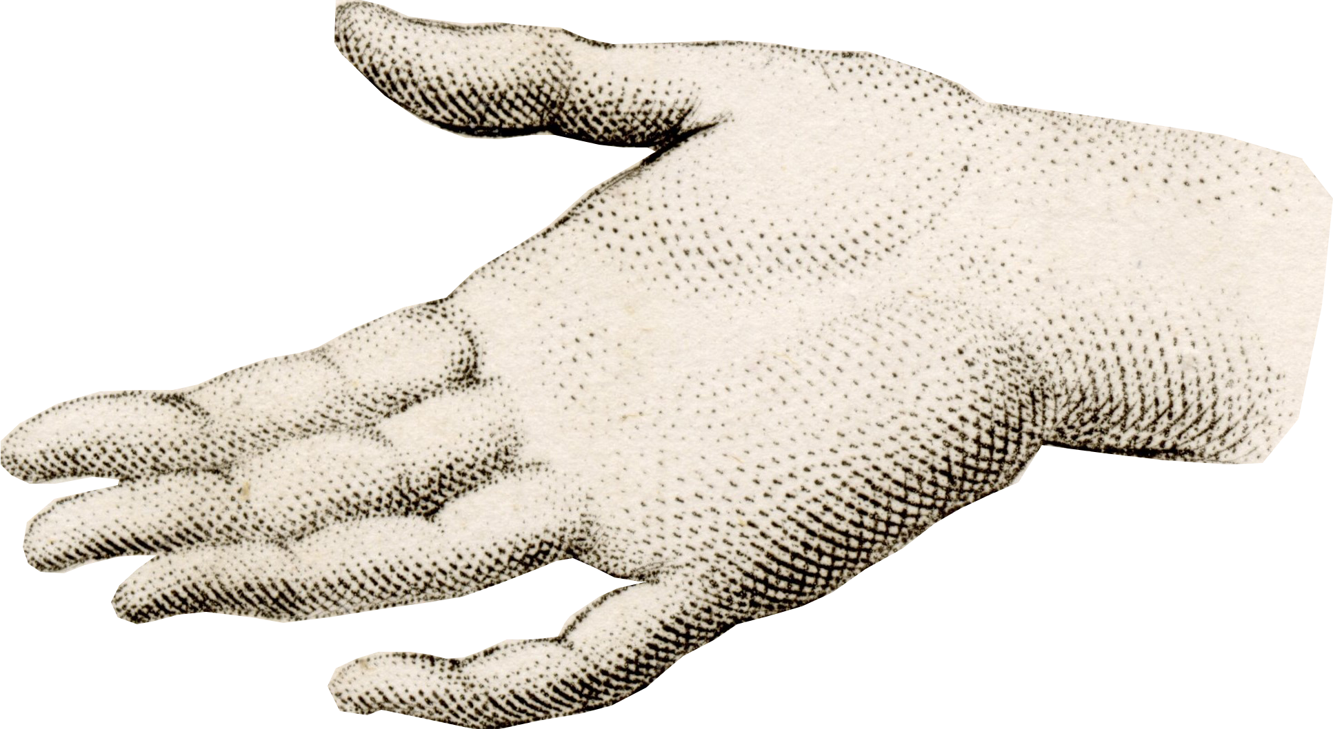  The ‘Office of Humanity’       