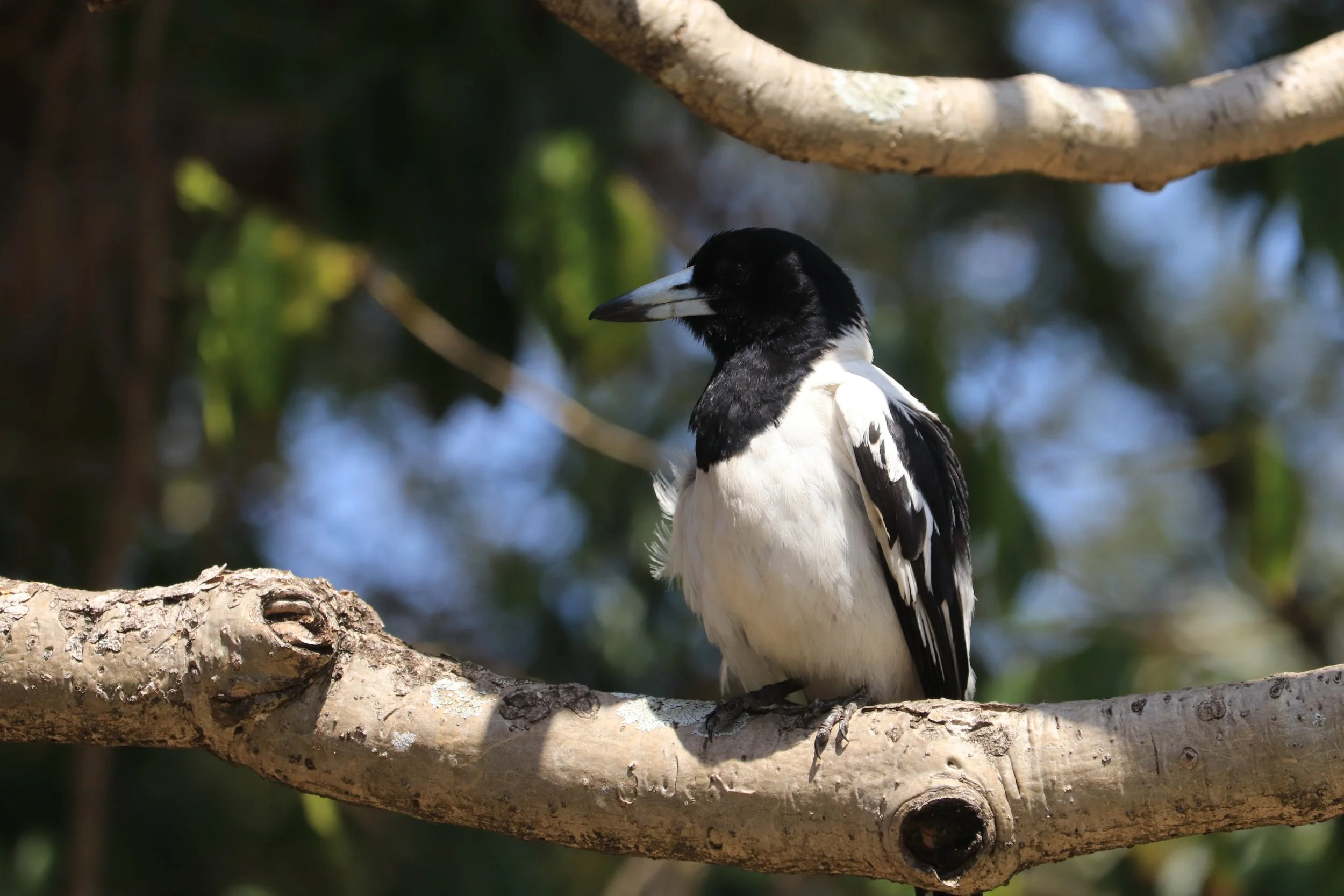 Pursuit of Truth: Nature &amp; Reason