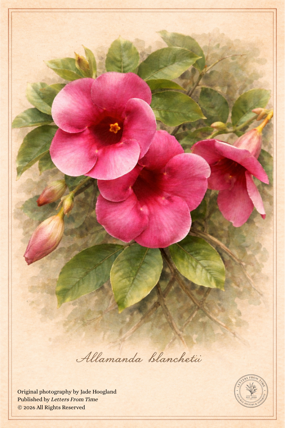 PinkFlowersSignature.png