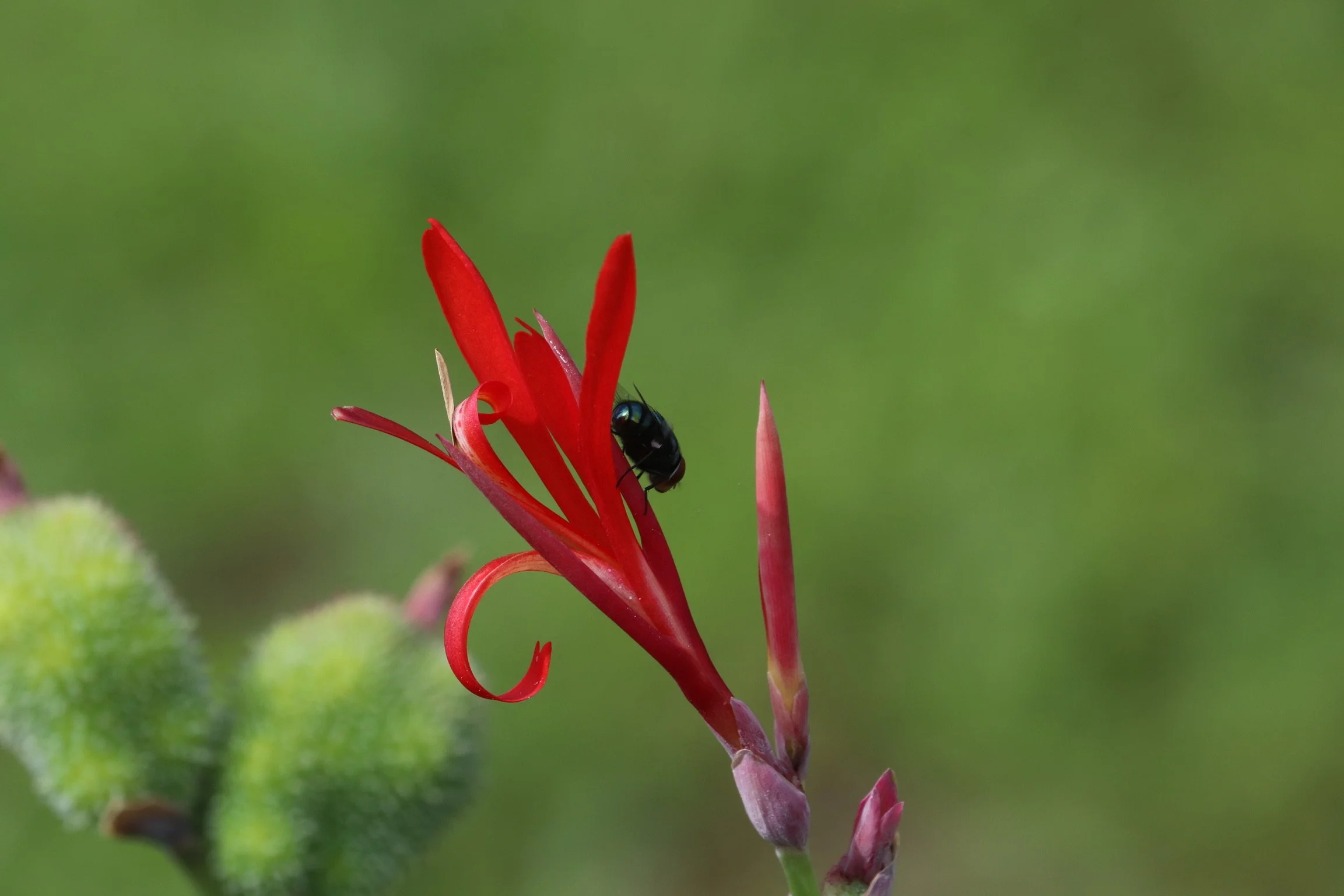 Nature, Forbidden Words, and Tolstoy