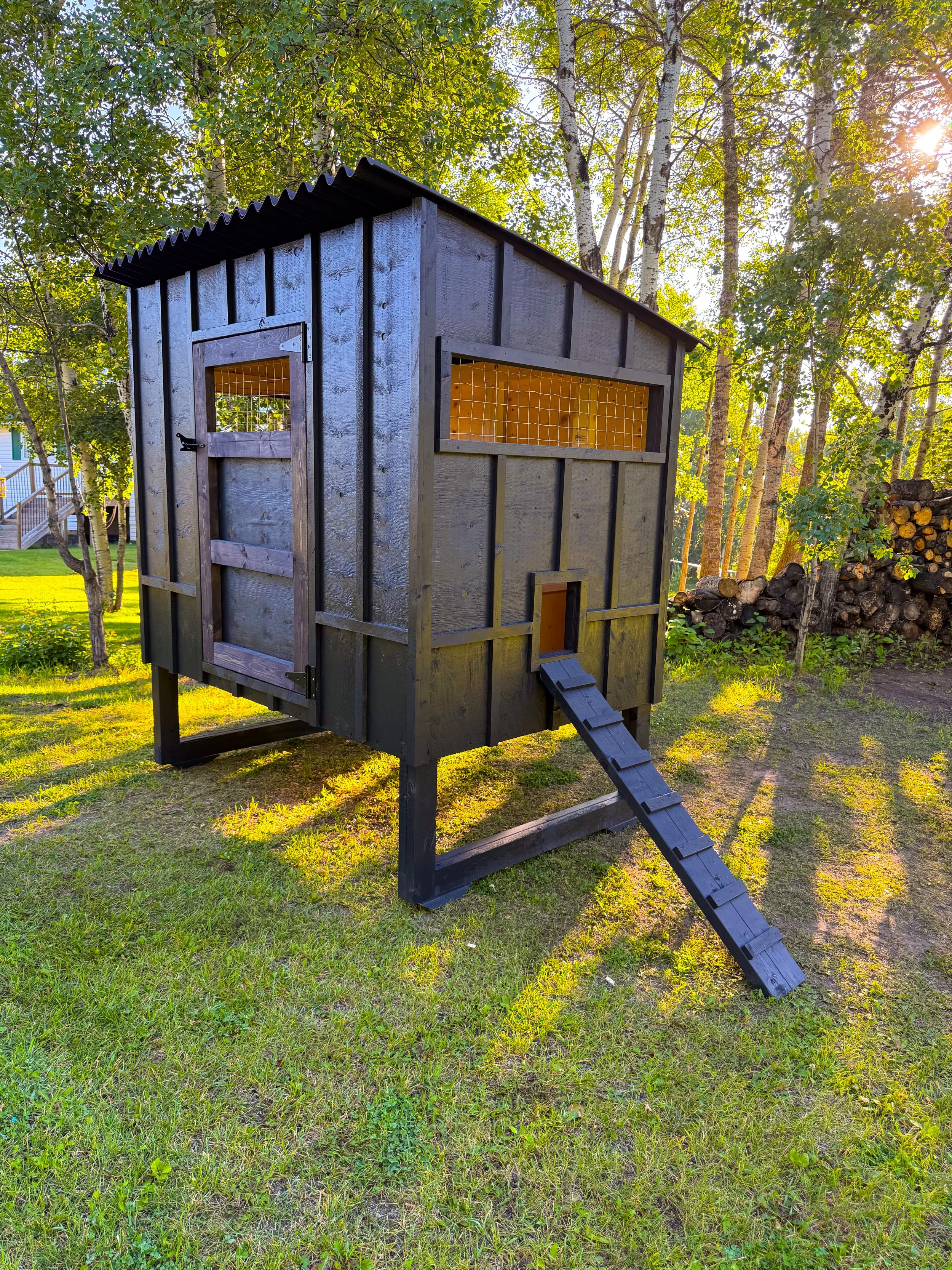 A small black wooden chicken coop with a ramp, located outdoors on a grassy area, surrounded by trees, with sunlight filtering through the leaves.