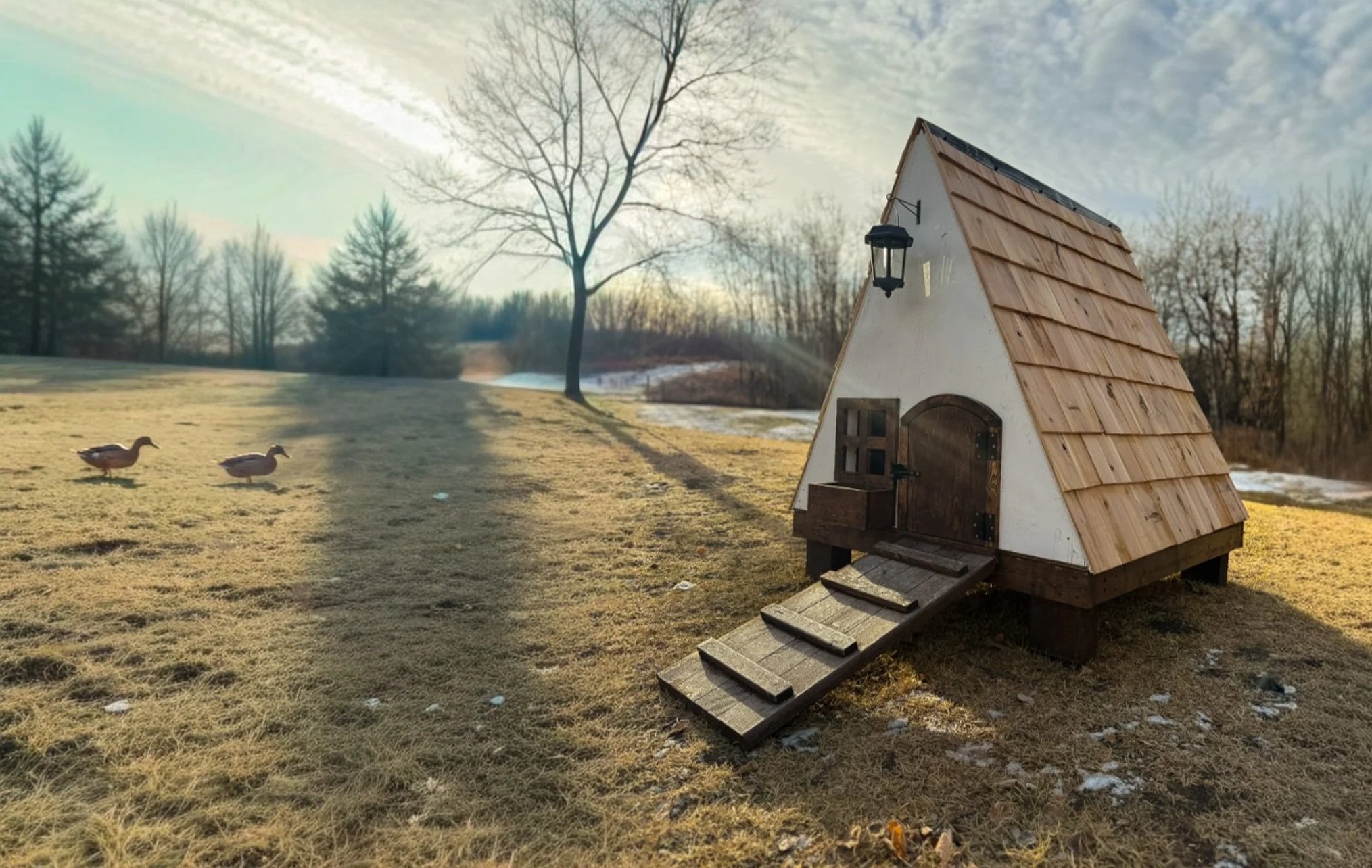 Wooden duck house in a grassy field with two ducks and trees in the background, under a partly cloudy sky.