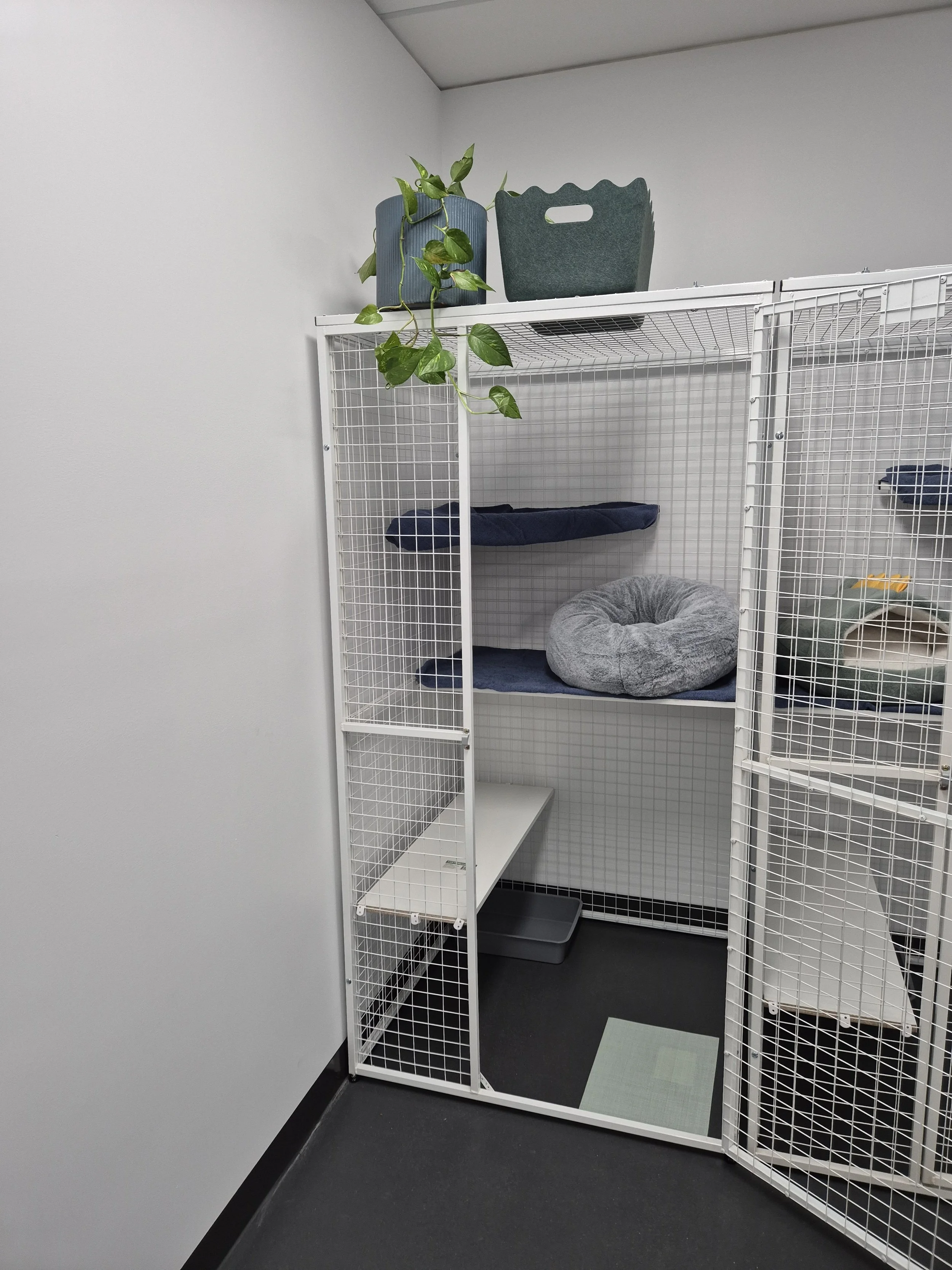 Standard suite $45/night