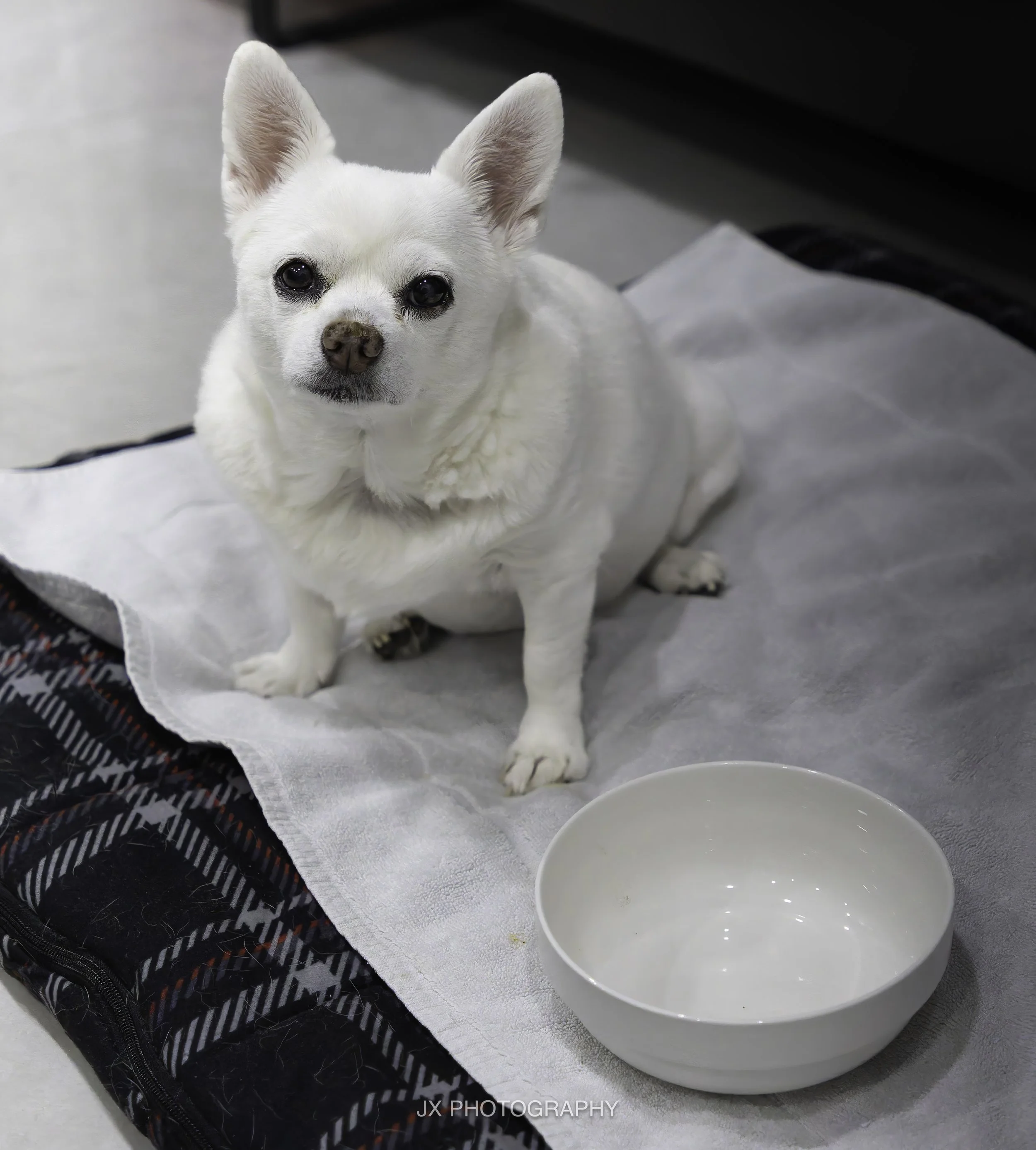 IMG_3822-DxO_DeepPRIME XD2s.jpg