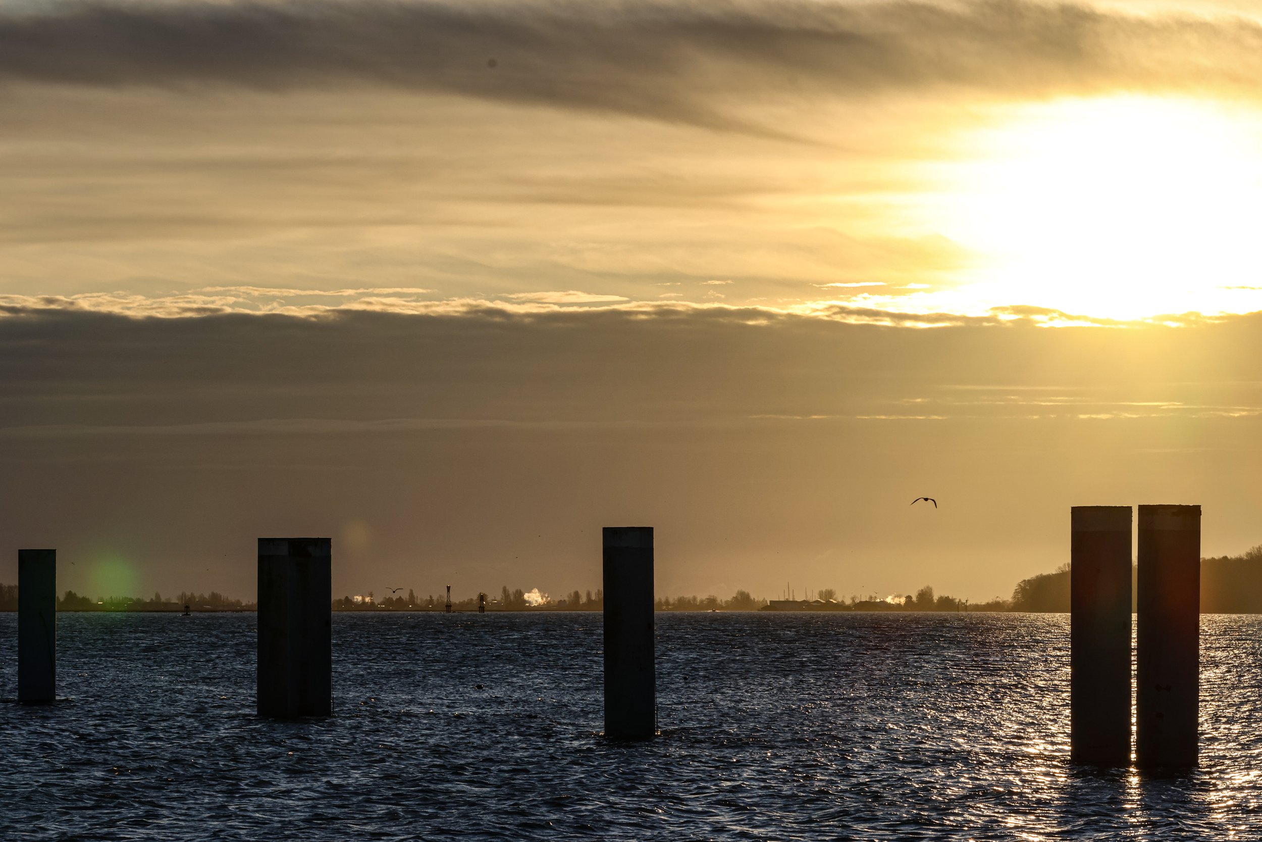 Sunset over a body of water with four large standing pilings in the foreground, a bird flying in the sky, and distant shoreline with clouds above.